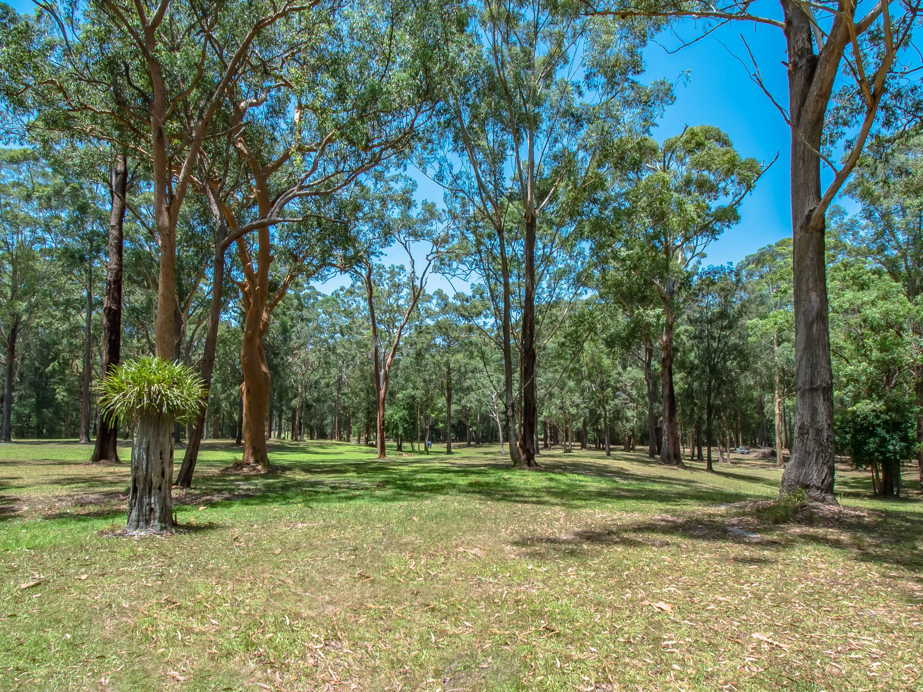 355 Mount Nellinda Road, Cooranbong, NSW 2265