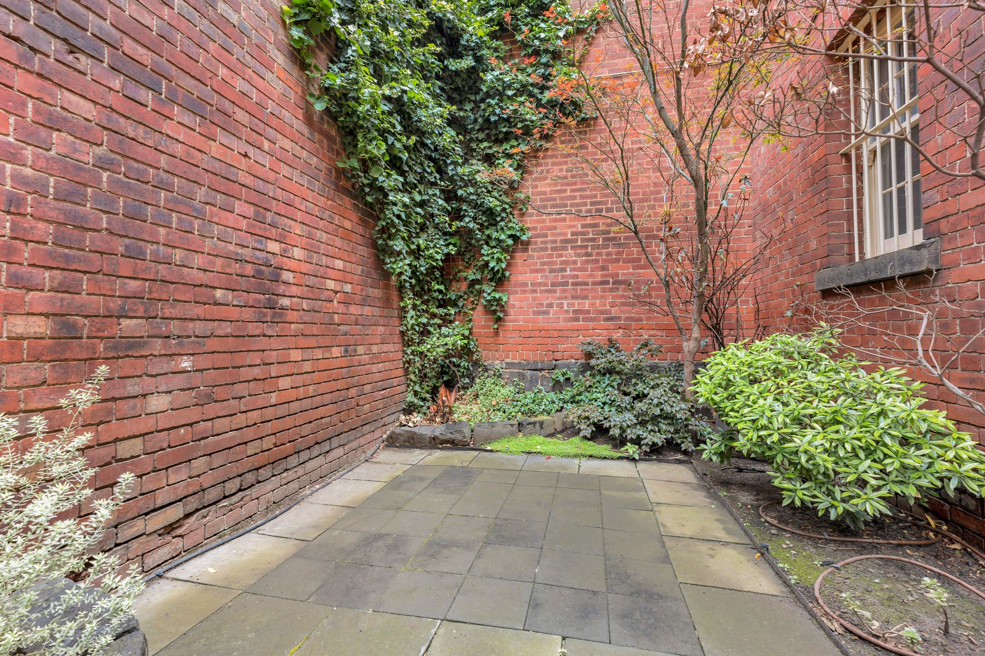 3/479 Elizabeth Street, Melbourne, VIC 3000