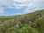 Lot 13/872 Bickerstaffe Road photo 13
