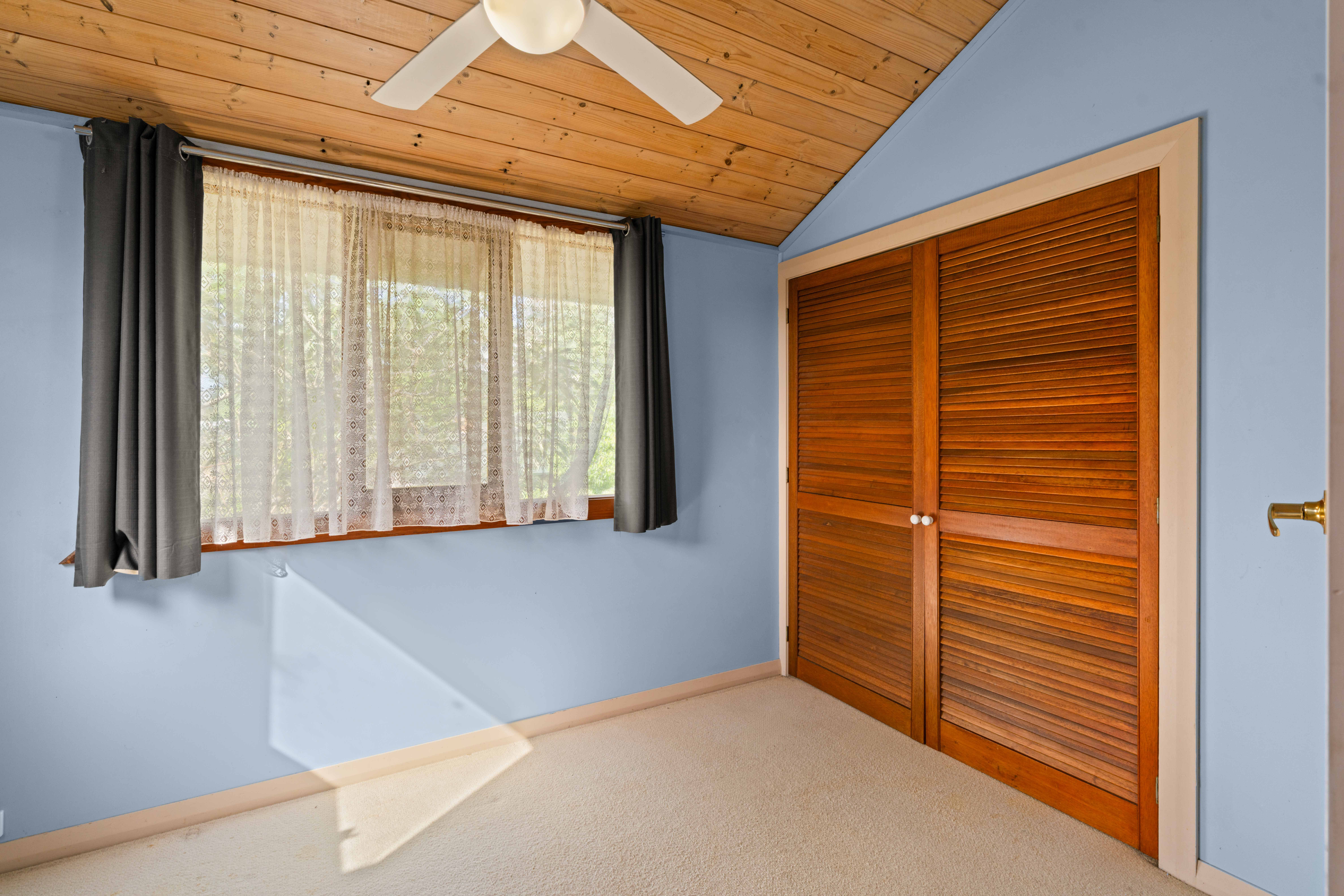 12 Shoalhaven Street — photo 15 of 30
