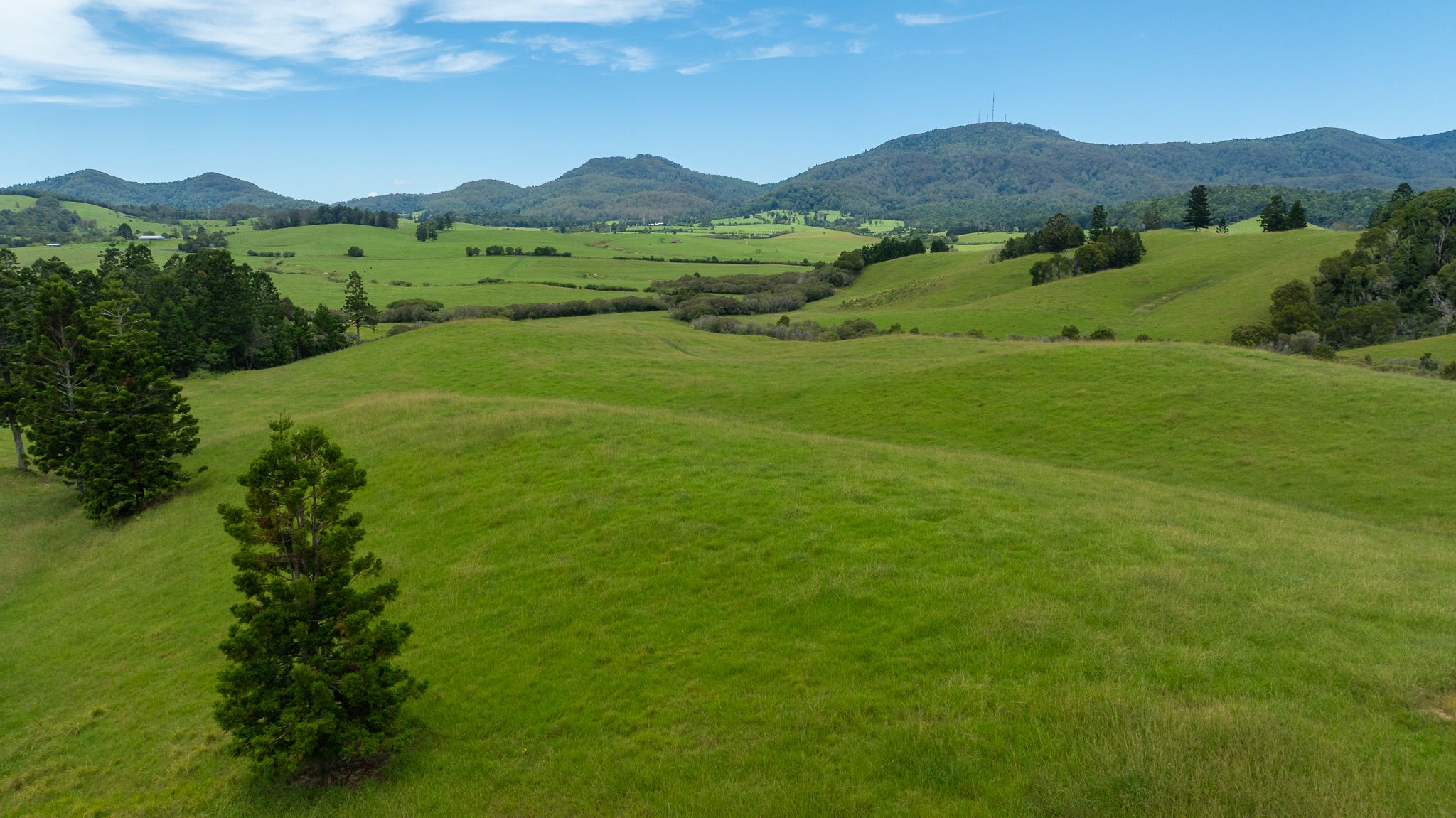 "Aberfeldy" 174 Seccombes Road — photo 13 of 16