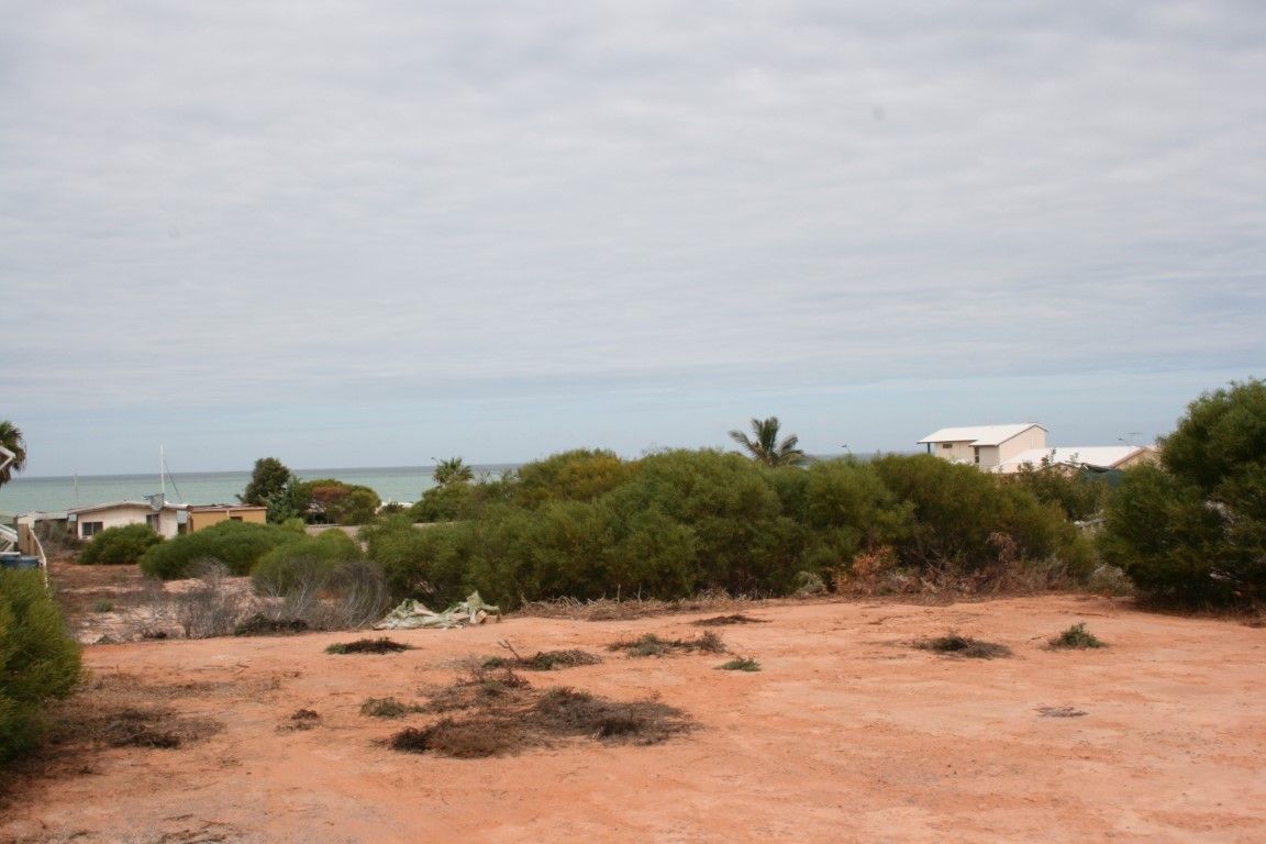 29 Fry Court, Denham, WA 6537 Land for Sale Ray White Shark Bay