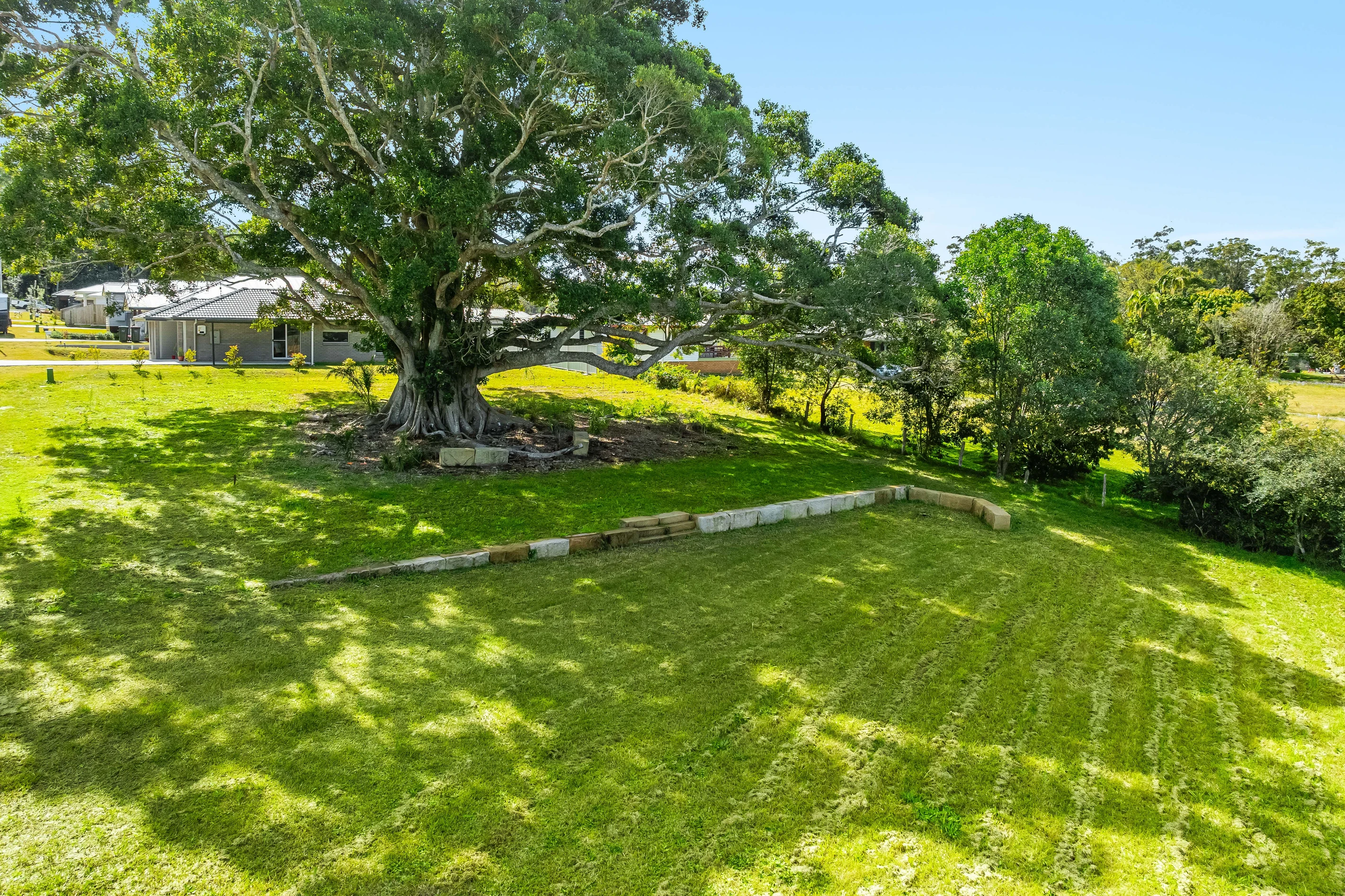 8 Brockagh Court, Townsend, NSW 2463