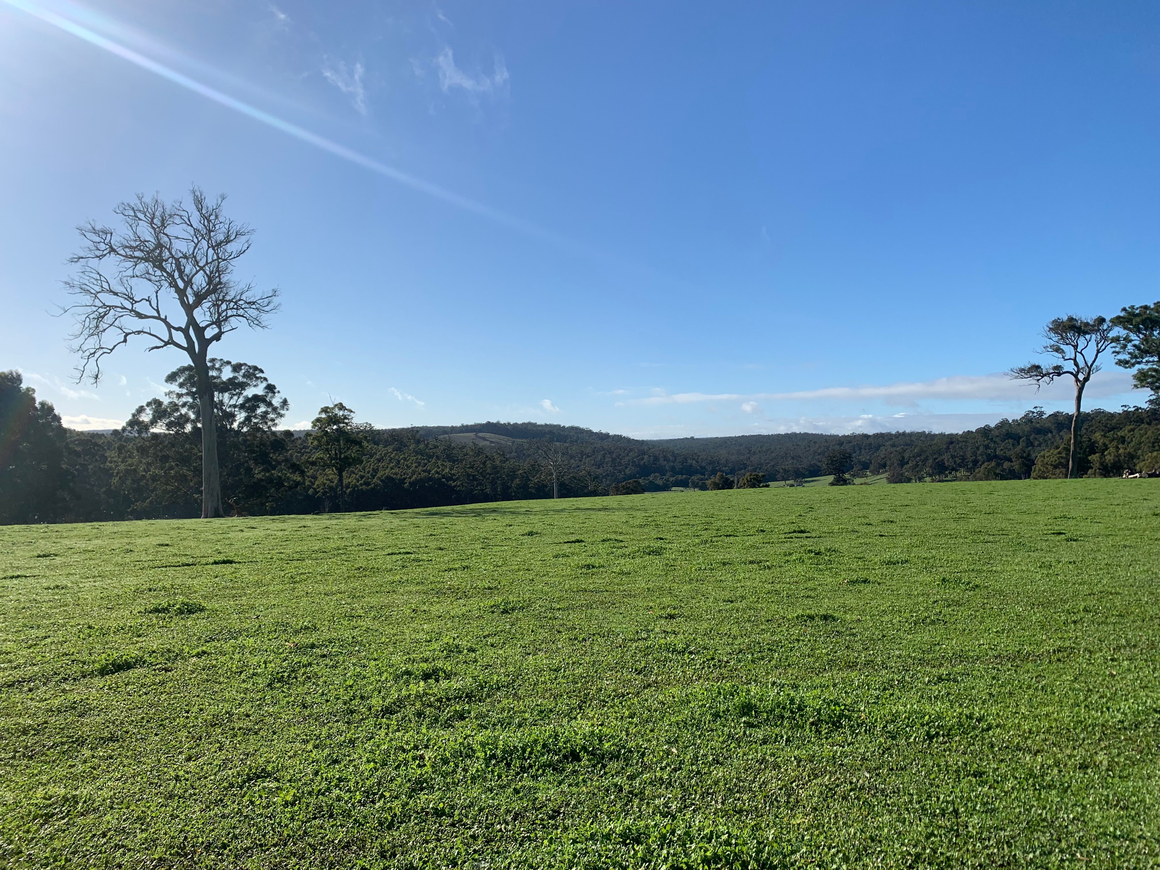 Lot 106 Wetherall Road, Quinninup, WA 6258 Rural Lifestyle Property