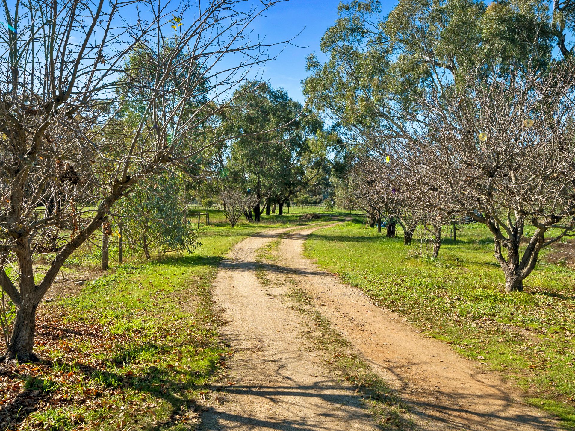 321 Kealy Road, Benalla VIC 3672
