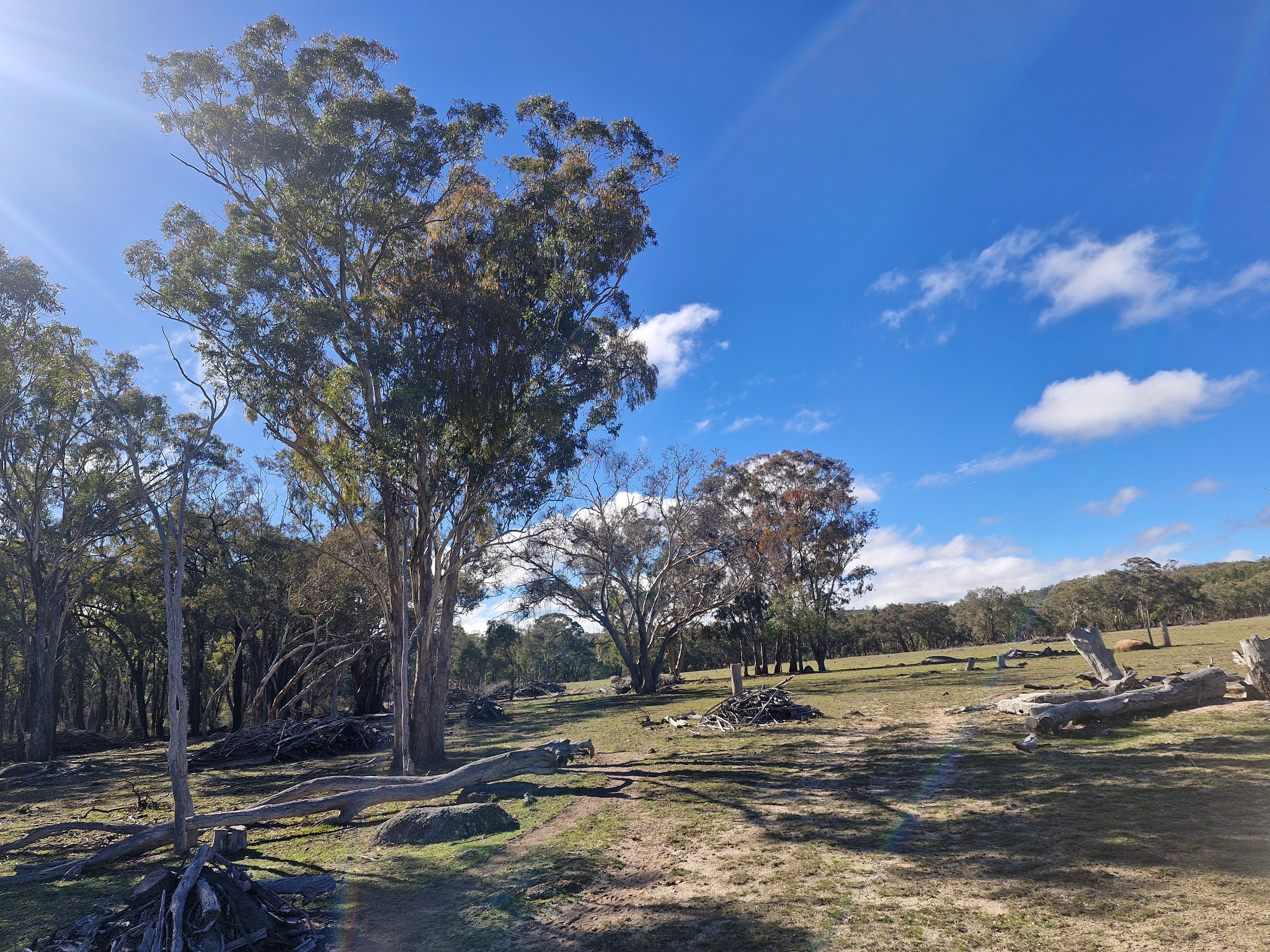 Lot 42 Ravensmoor Road, PASSCHENDAELE, QLD 4352