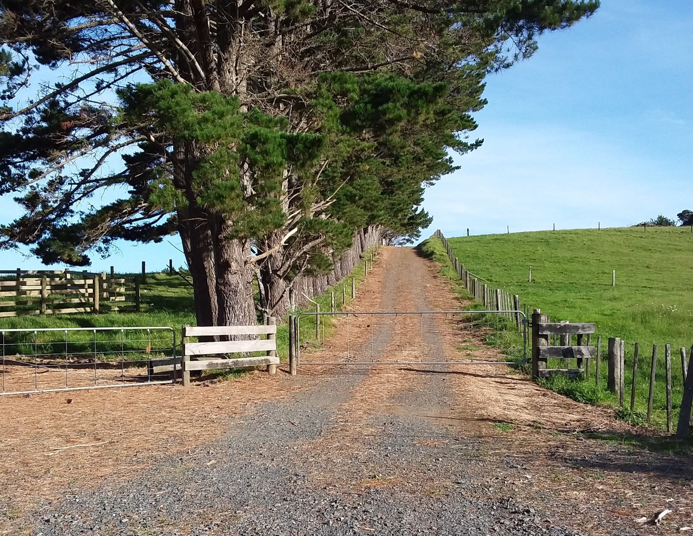 37 Awhitu Central Road, Waiuku, Franklin