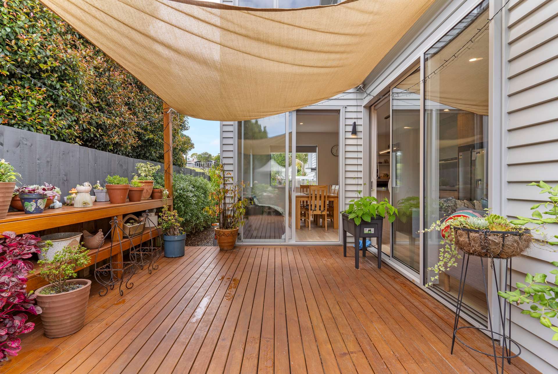 34D Dexter Avenue photo 5