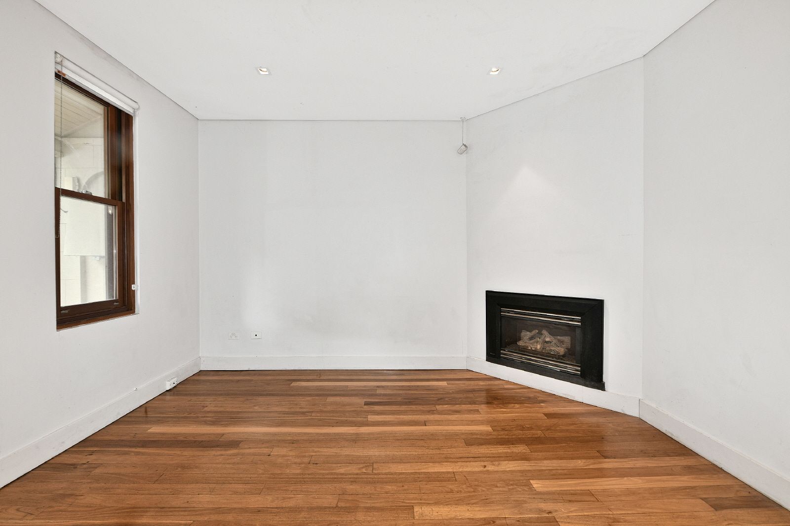 117 Chelmsford Street, Newtown, NSW 2042