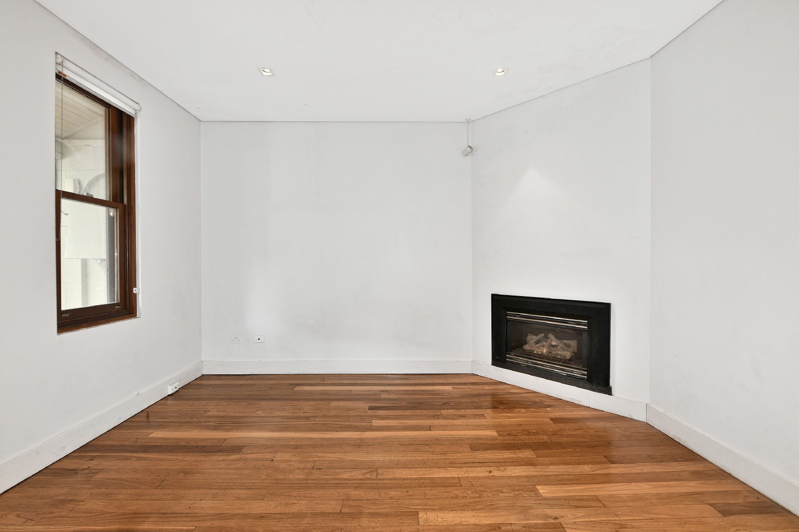 117 Chelmsford Street, Newtown, NSW 2042