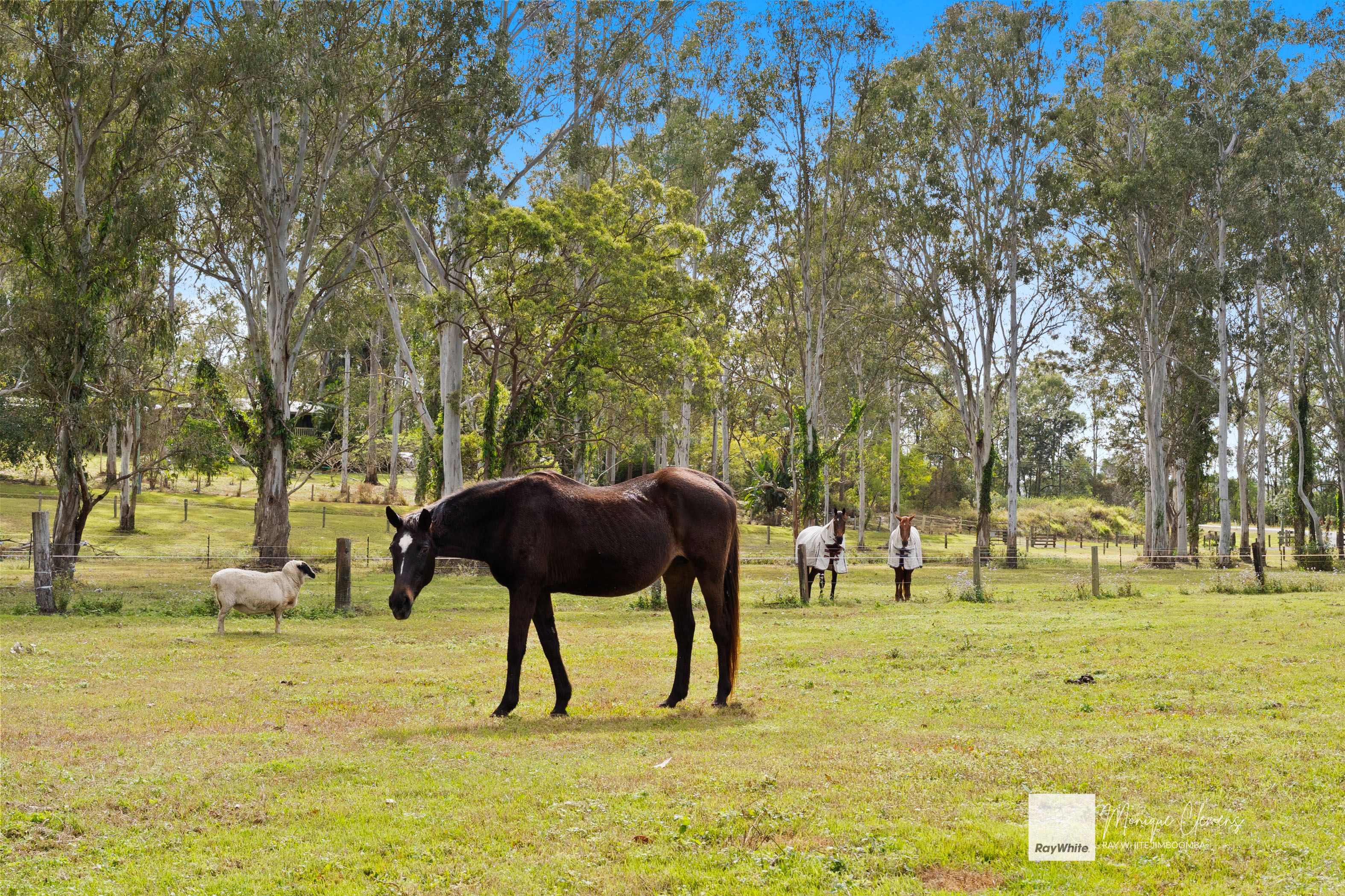 1721-1727 Waterford - Tamborine Road, Logan Village, QLD 4207