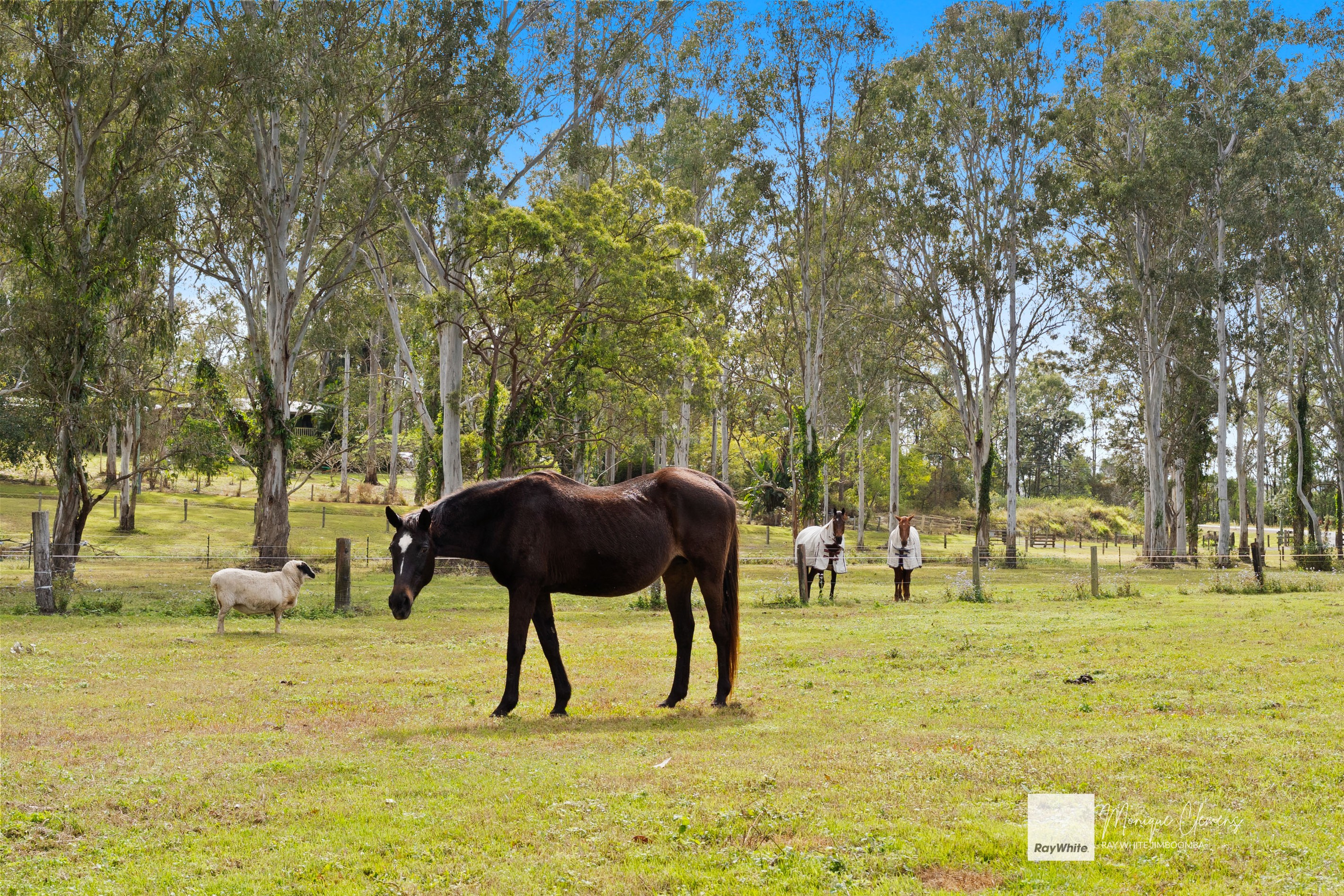 1721-1727 Waterford - Tamborine Road, Logan Village, QLD 4207