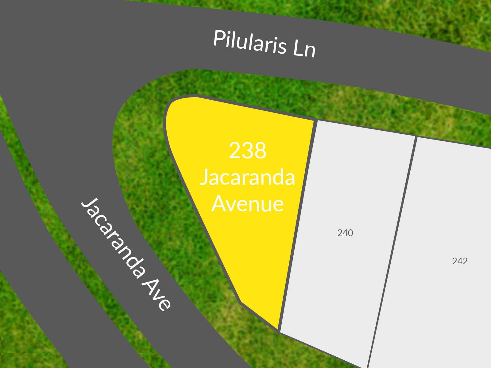 238 Jacaranda Avenue, Kingston, QLD 4114