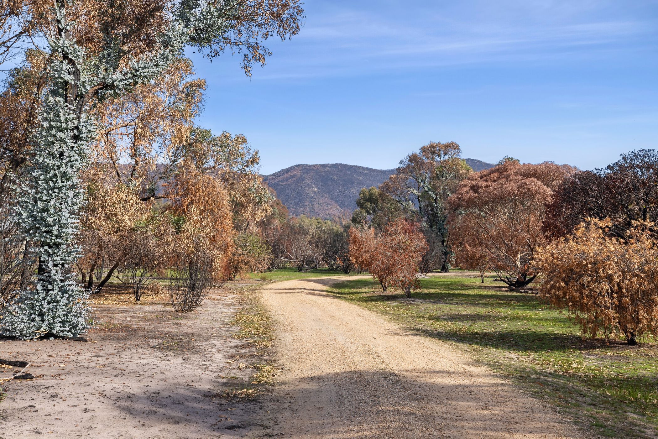 26 Waterhole Road, Pomonal, VIC 3381 House for Sale Ray White Ararat