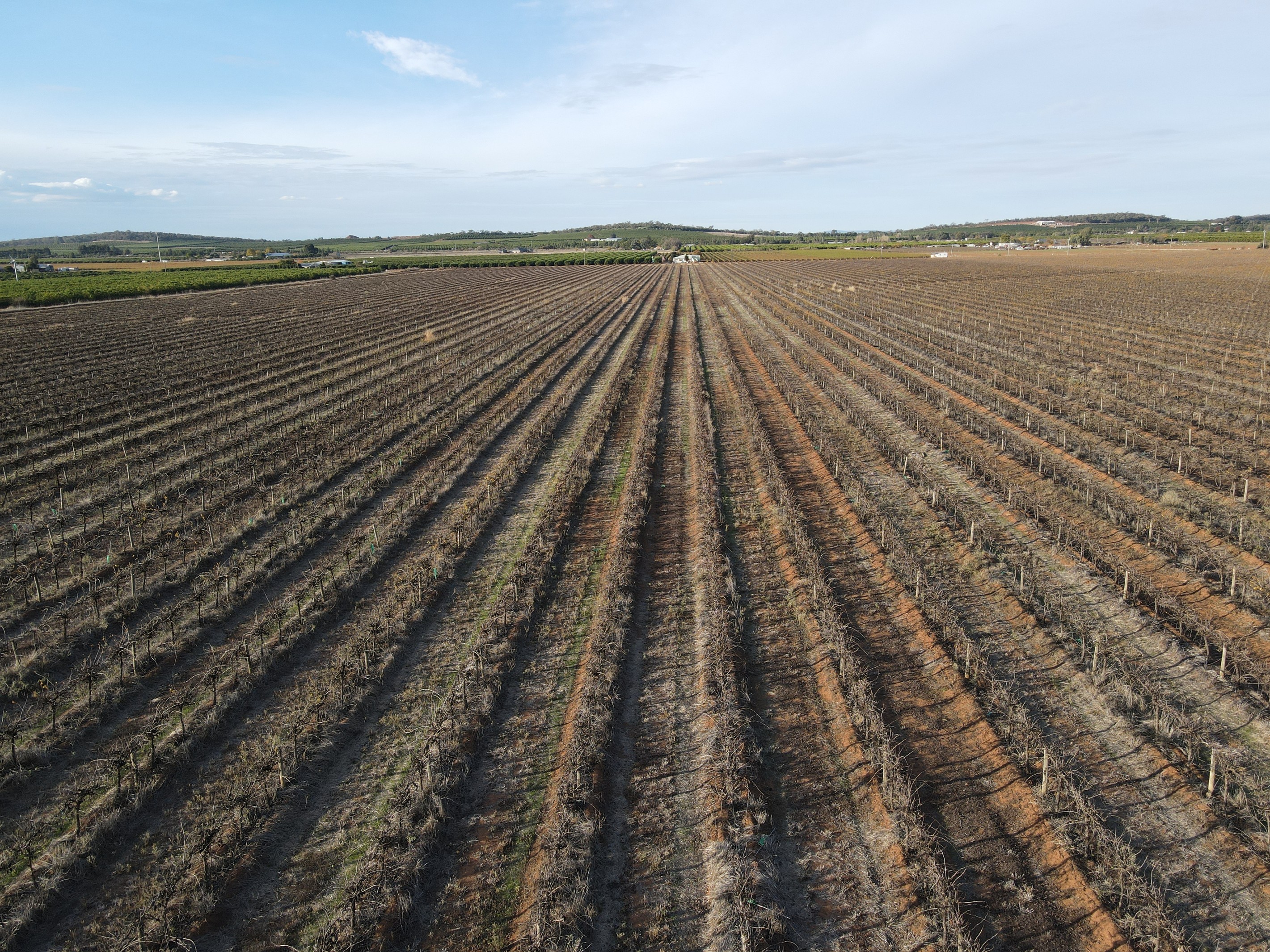 1802 Old Well Road, Tharbogang, NSW 2680