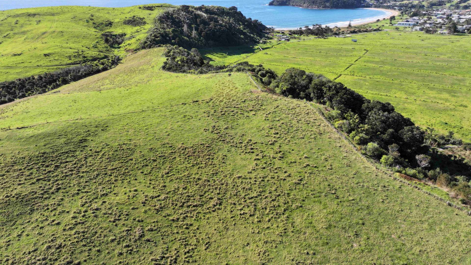 Lot 1 State Highway 10 photo 8