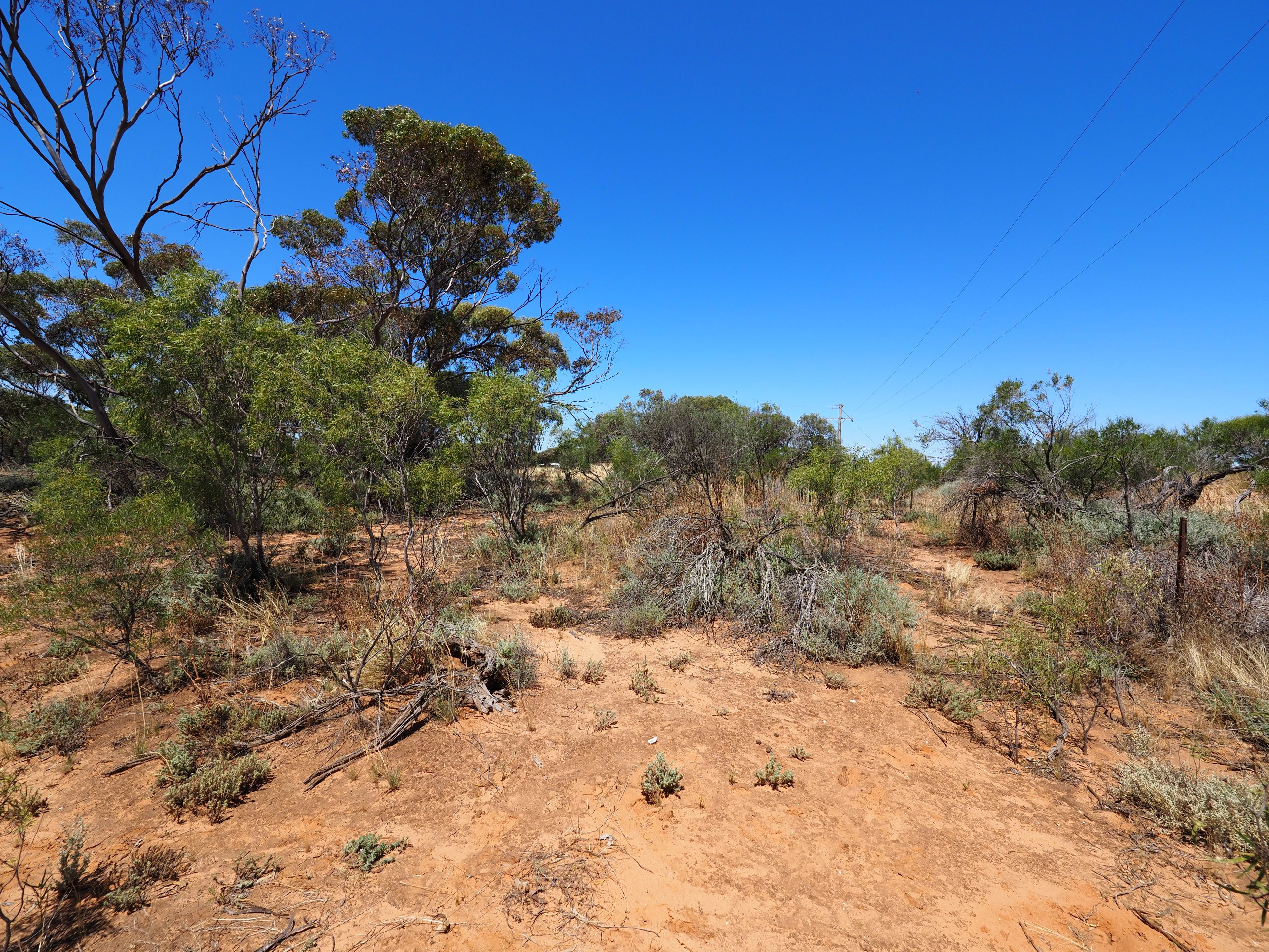 Lot 1 TP219218 Smyth Street, Chillingollah, VIC 3585