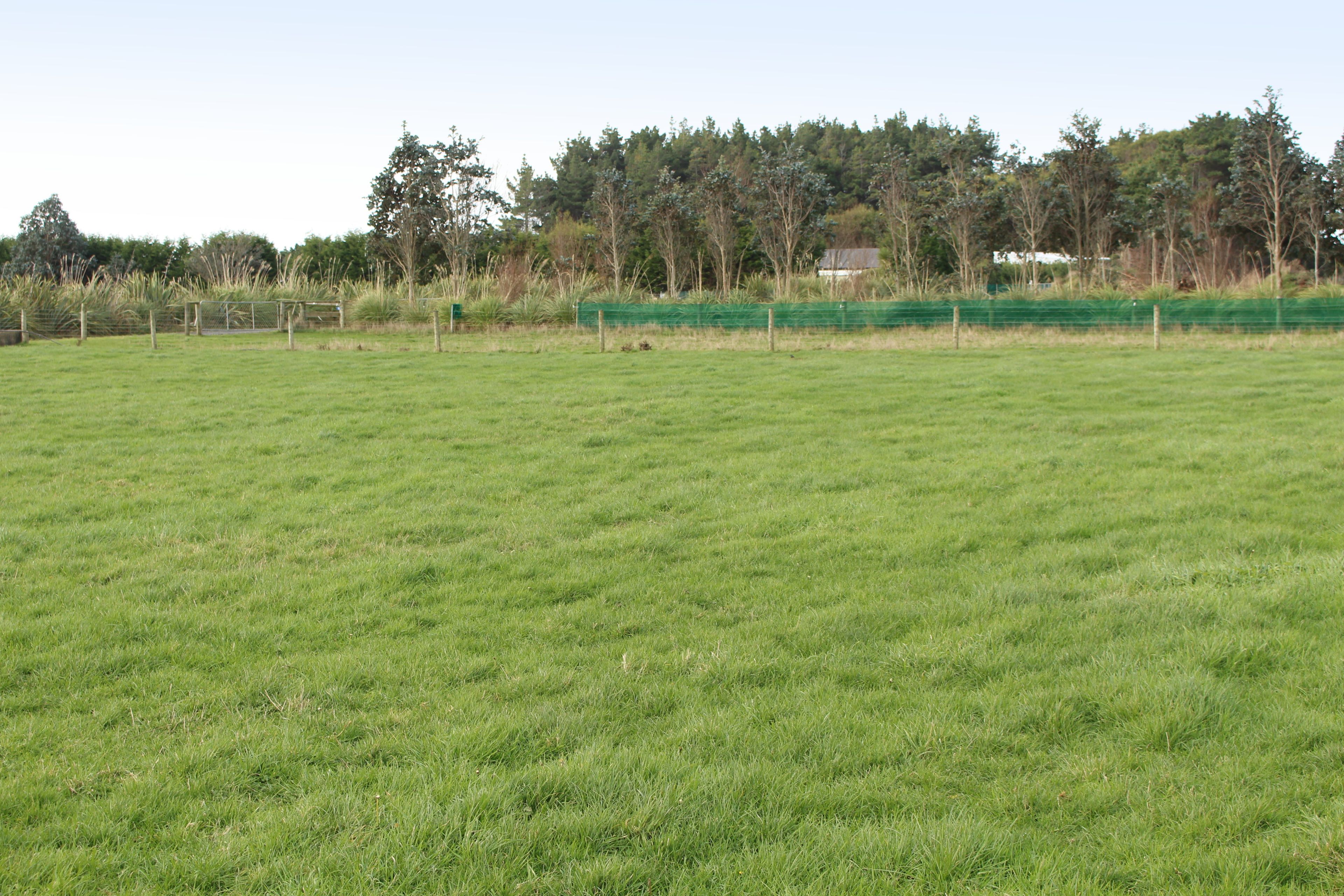 100 Otatara Road, Otatara, Invercargill