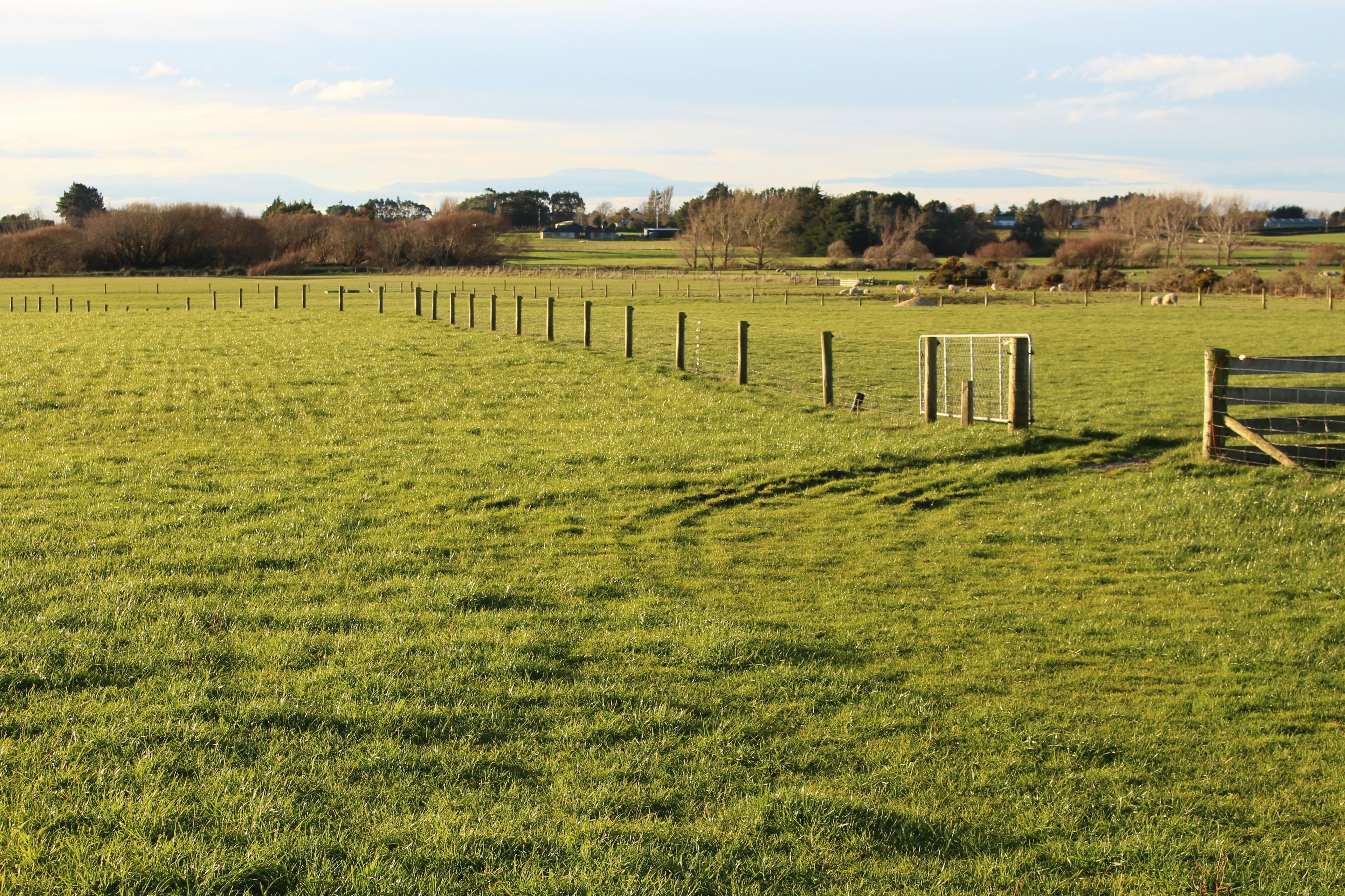 280 Findlay Road, Myross Bush, Invercargill