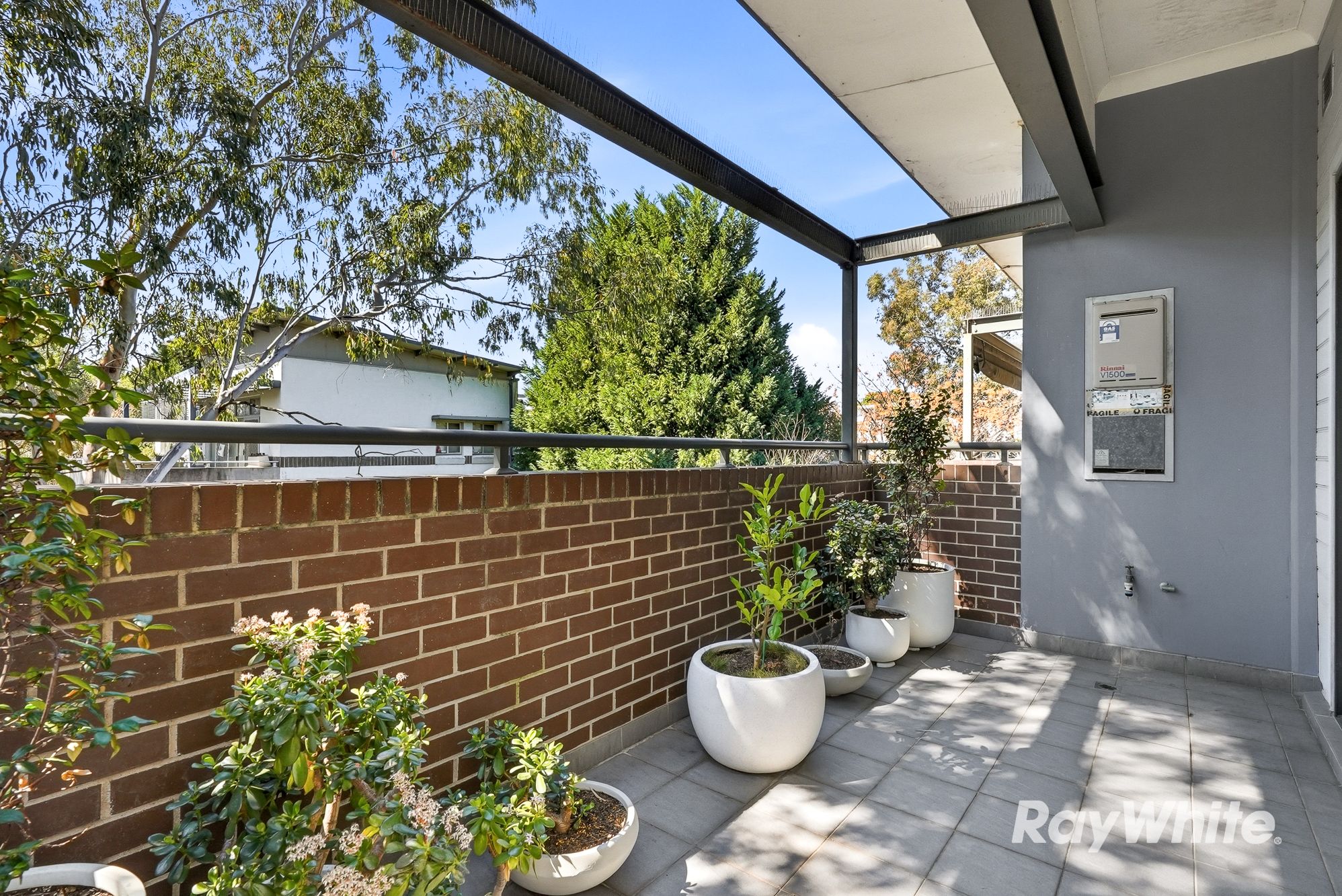 14/213-215 William Street — photo 12 of 17