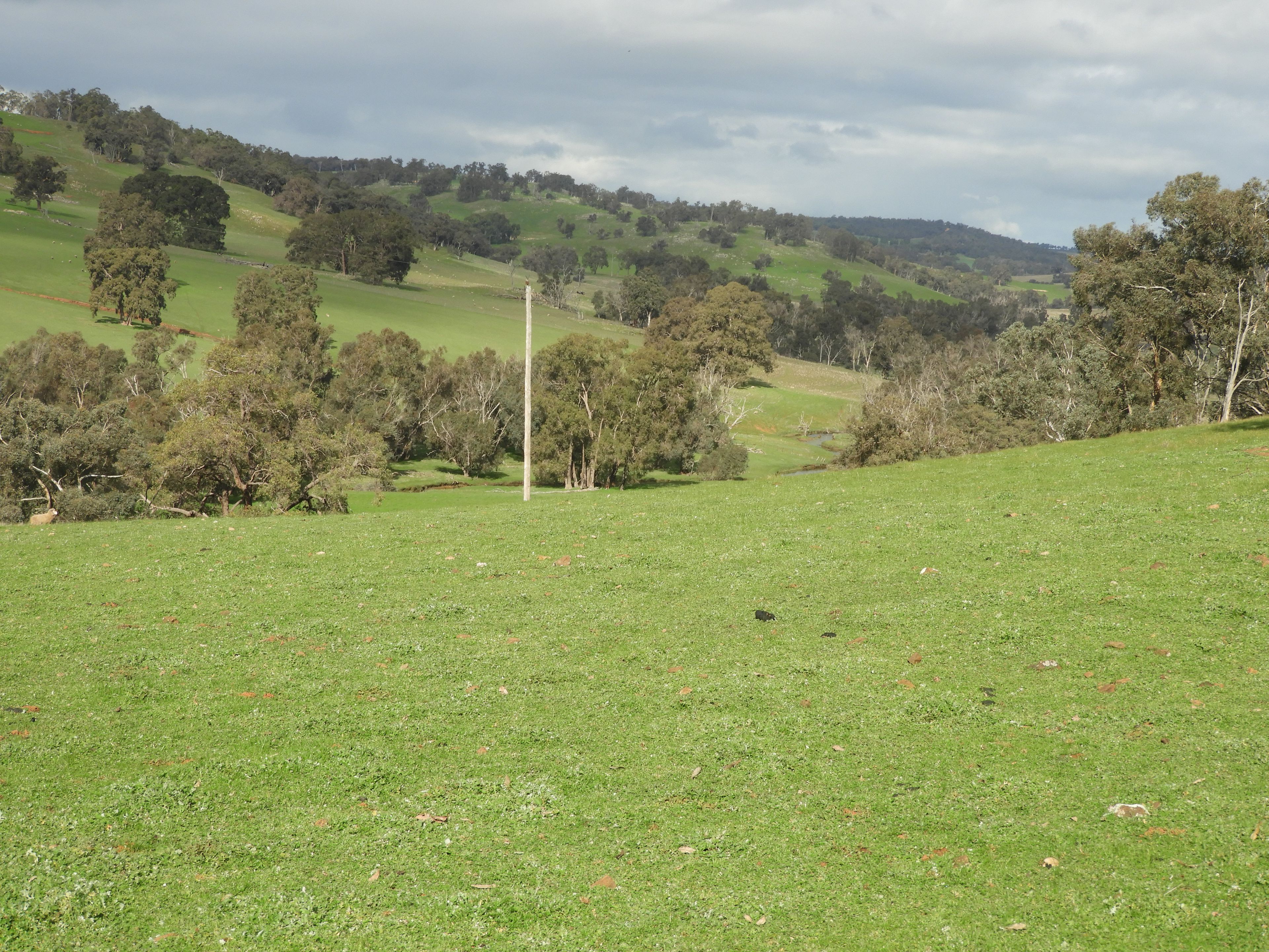 Kyellen Farm, Quindanning-Darkan Road — photo 27 of 30