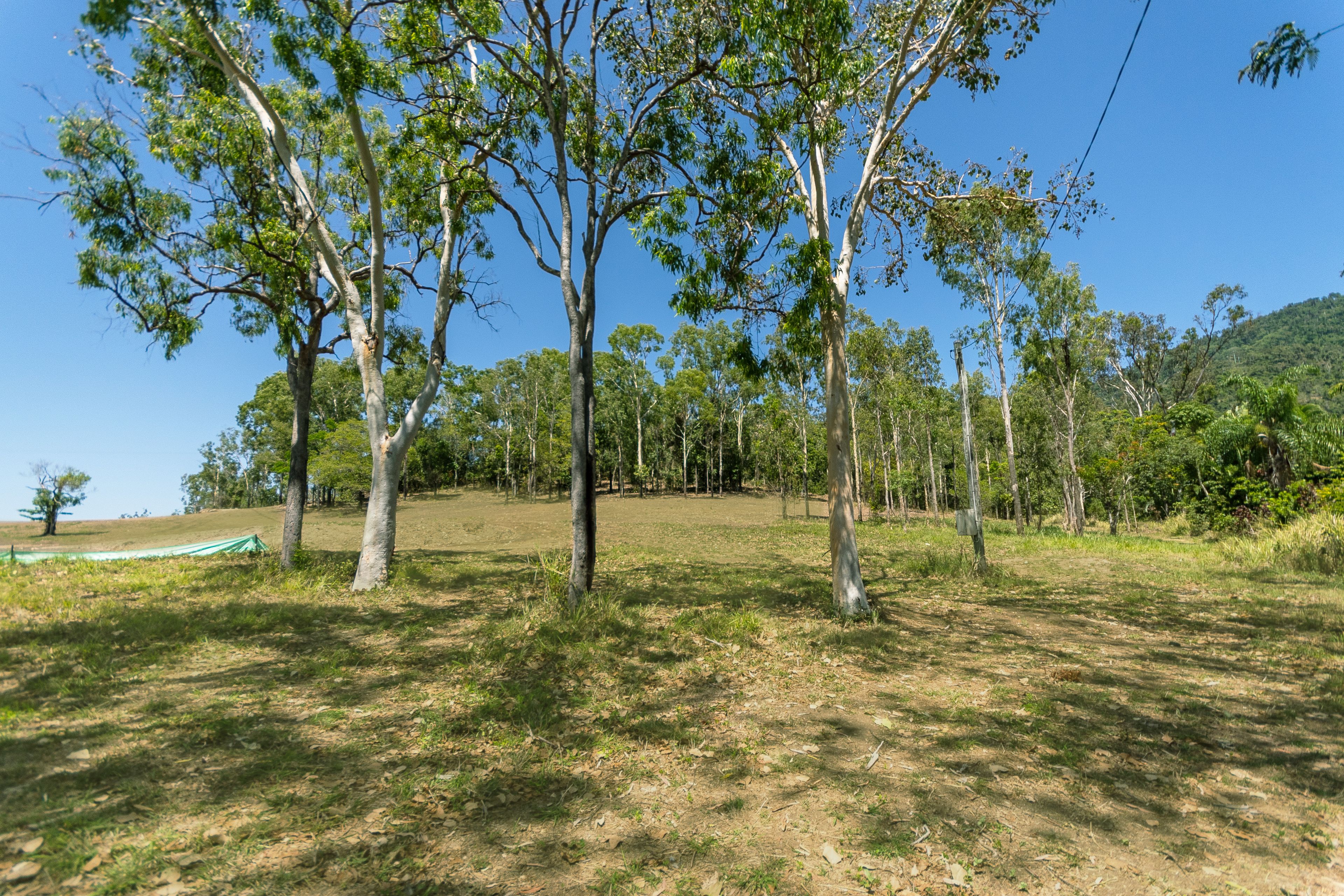 461A Sugarloaf Road, Riordanvale QLD 4800