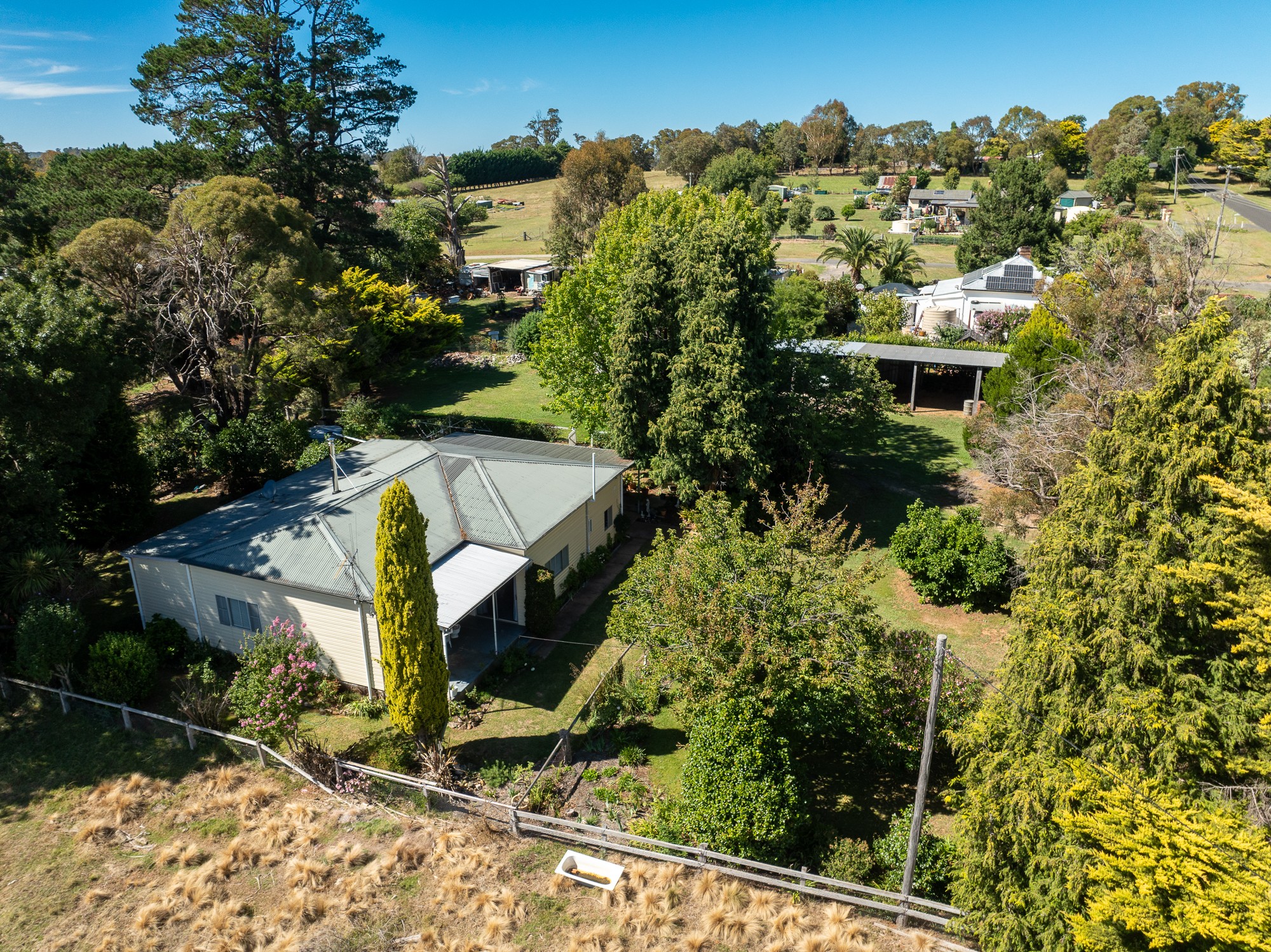 19 Carcoar Street, Neville, NSW 2799