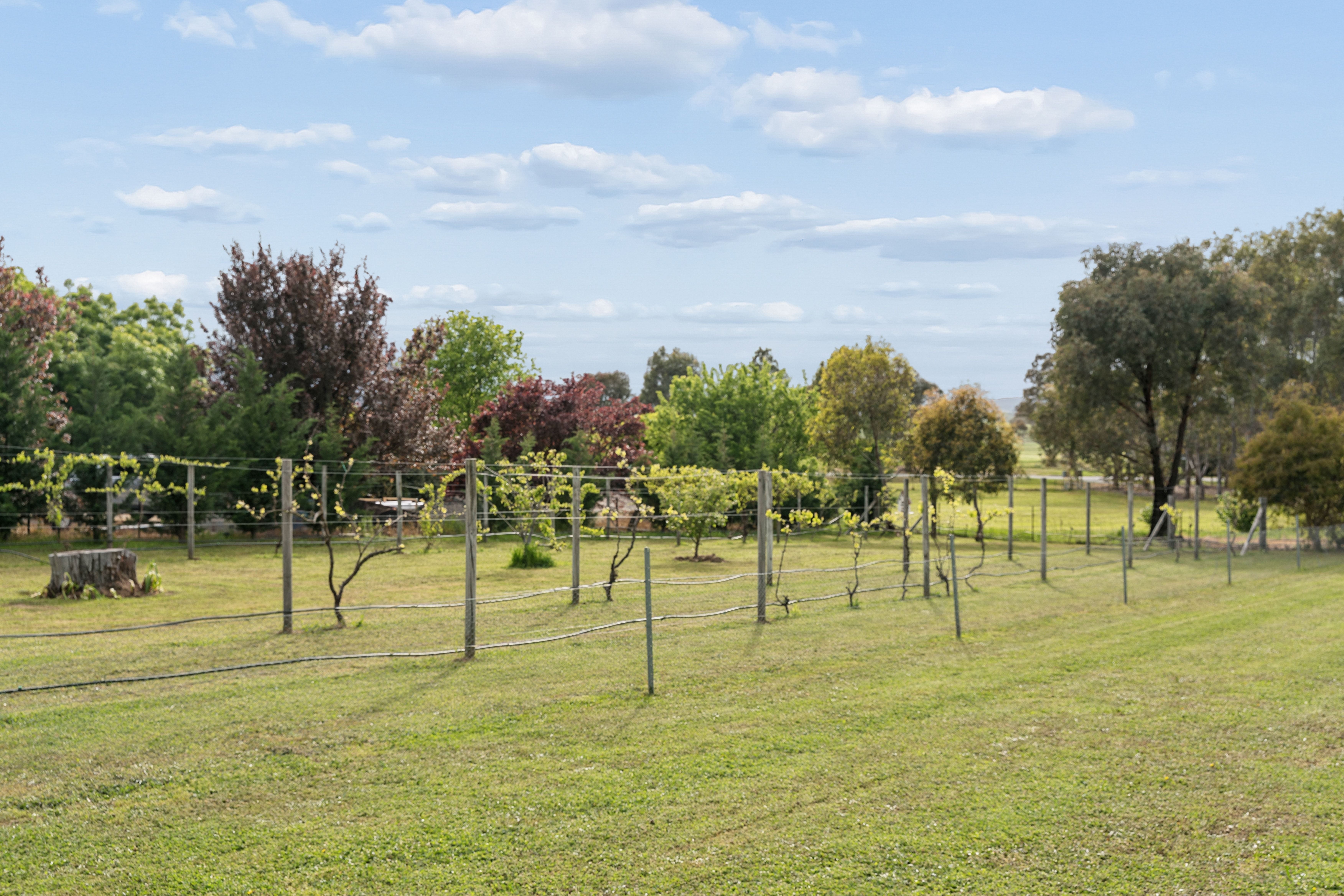 'The Finches', 7 Galloway Place, Murrumbateman, NSW 2582