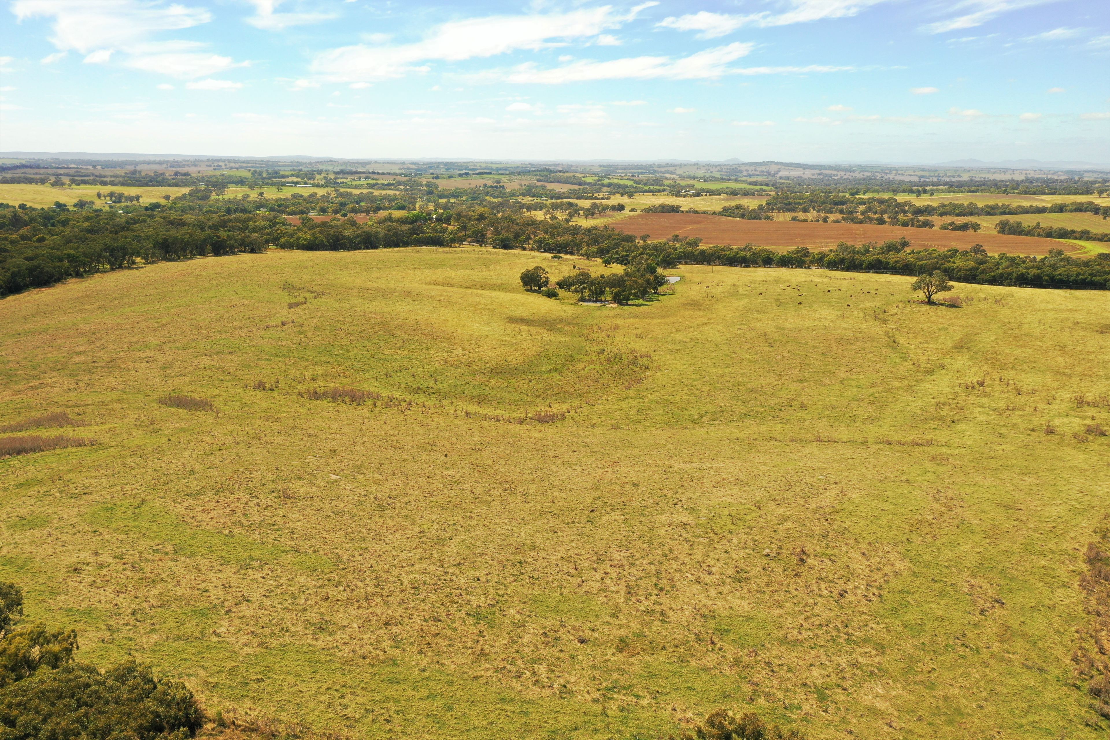 Lots 82, 83 & 84 Olympic Highway, Wombat, NSW 2587 Land for Sale