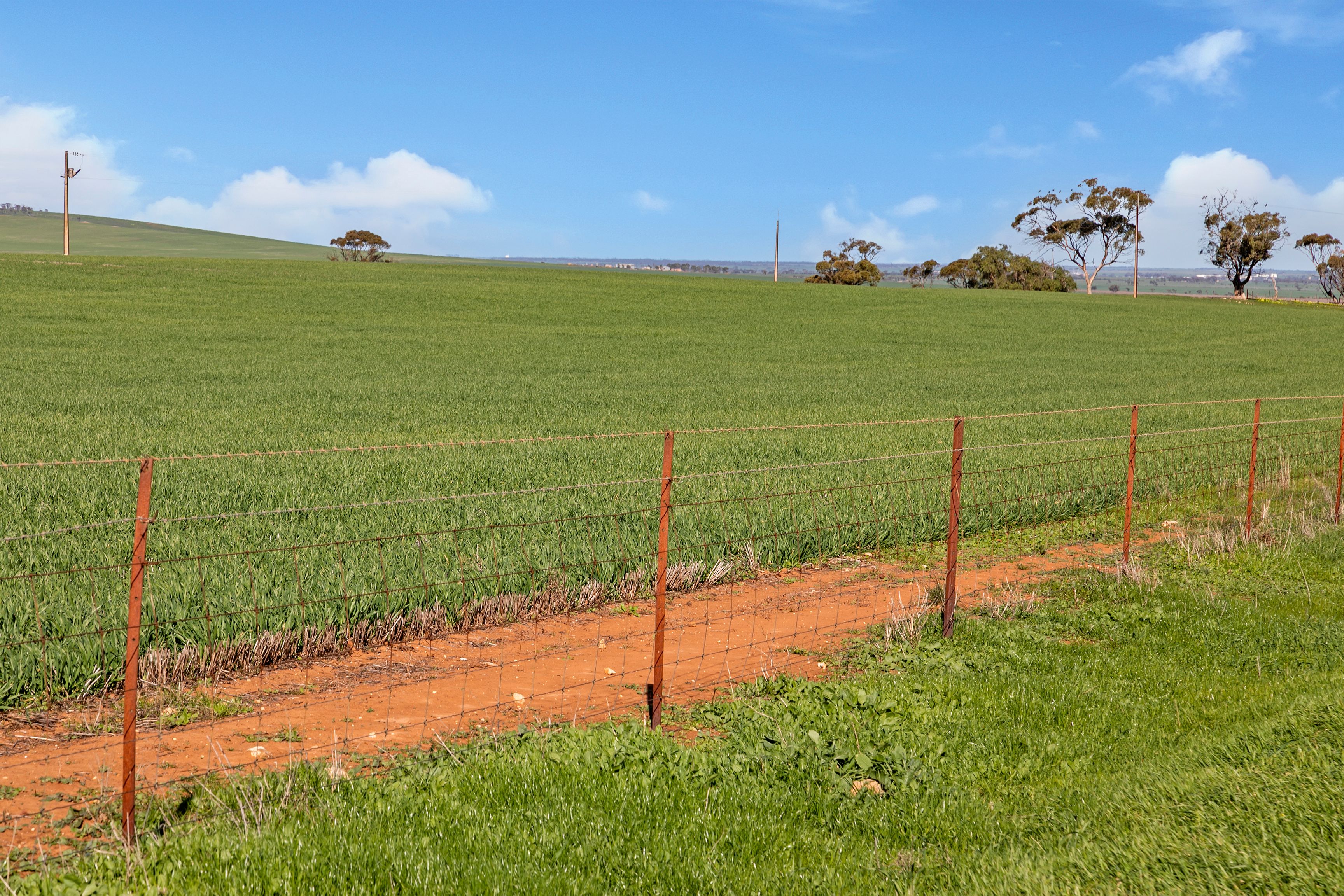 'Allanbie' Pipeline Road, Nantawarra SA 5550