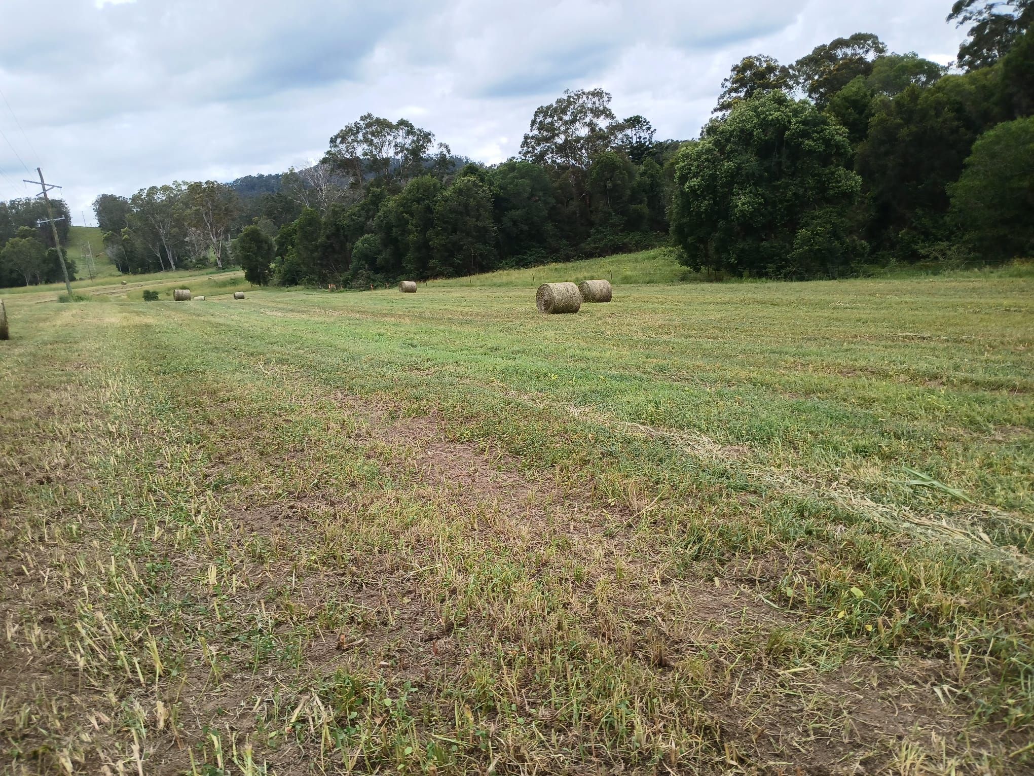 'The Mary Valley Farm' - A Rare Hinterland Legacy — photo 19 of 30