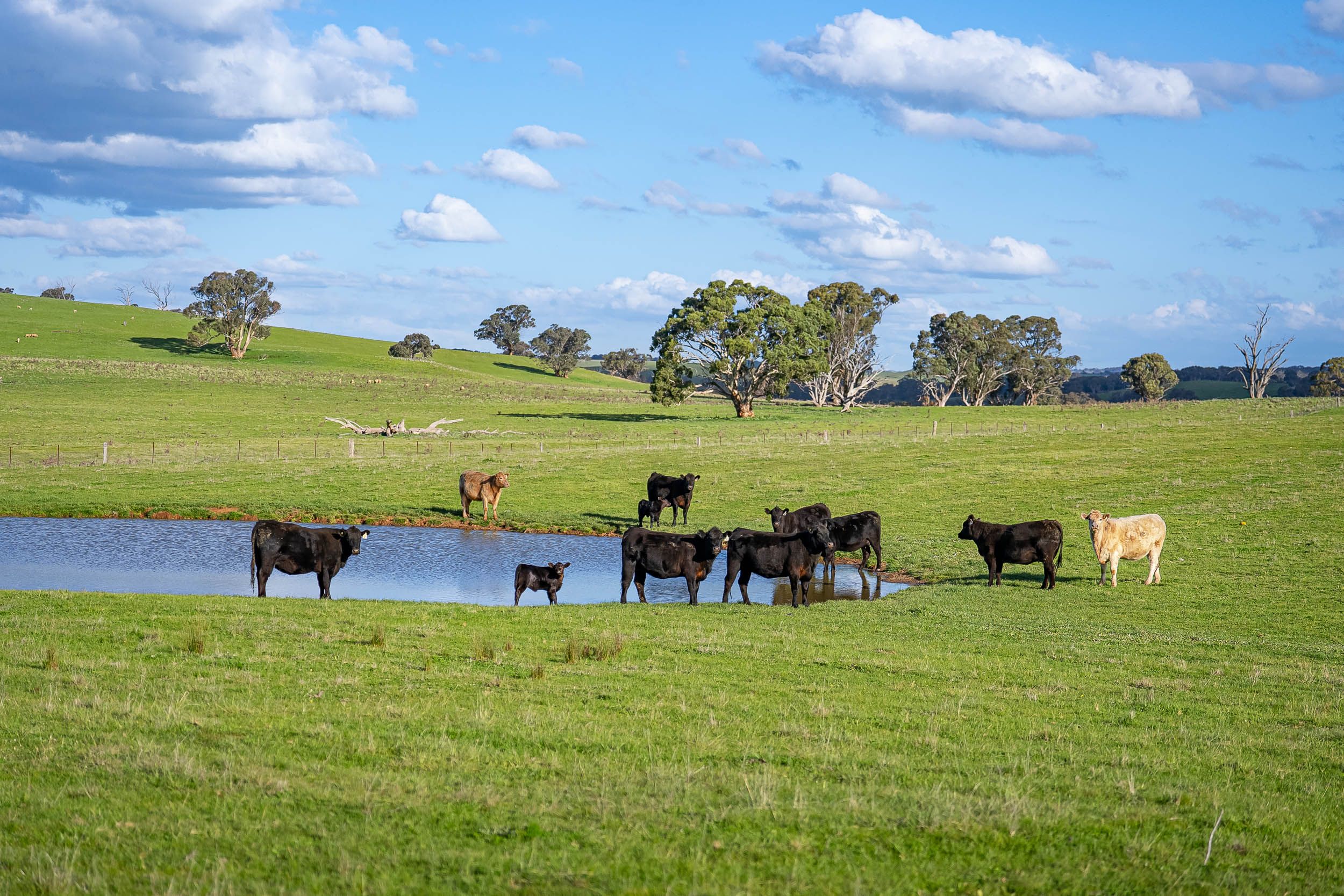 680 Fish River Road NARRAWA VIA — photo from Ray White Rural Goulburn