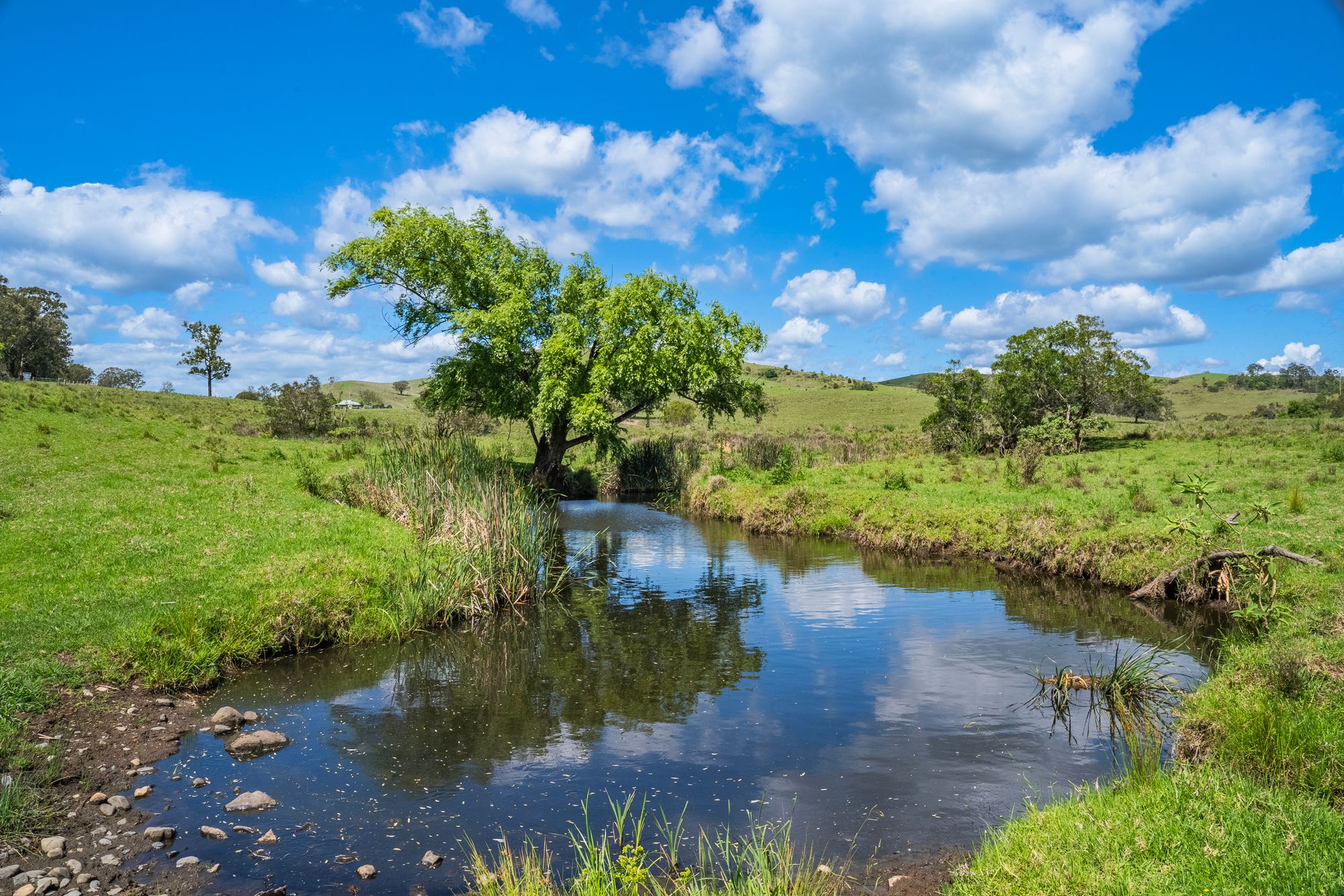 449 Glen William Road, Glen William, NSW 2321 Sold Rural Property