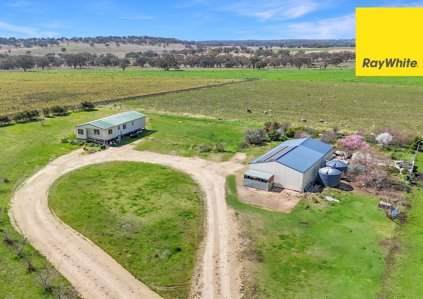 154 Delungra Bypass Road, Inverell, NSW 2360