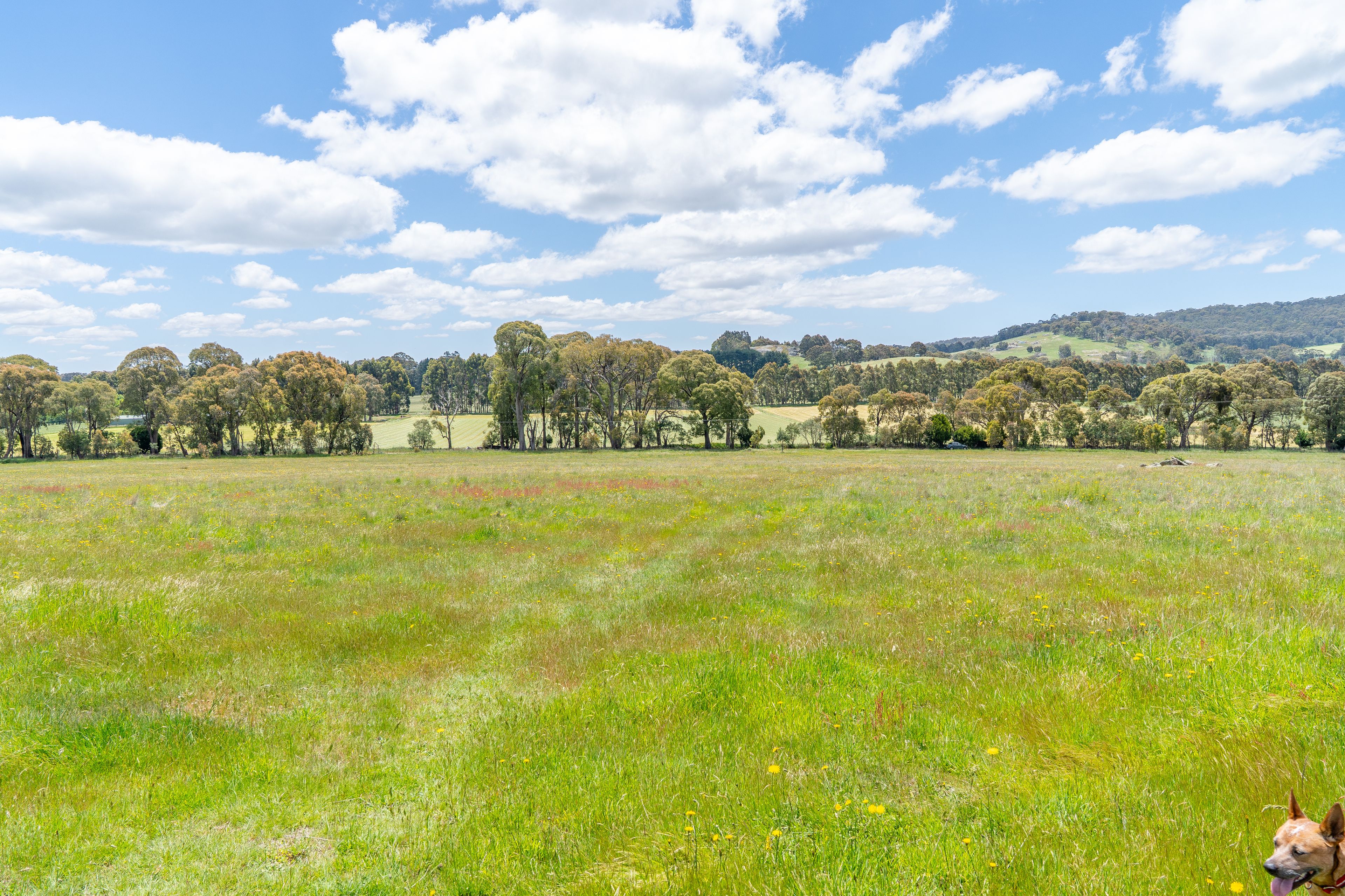 Lot B/PS809565 Creek Junction Road, Kithbrook, VIC 3666