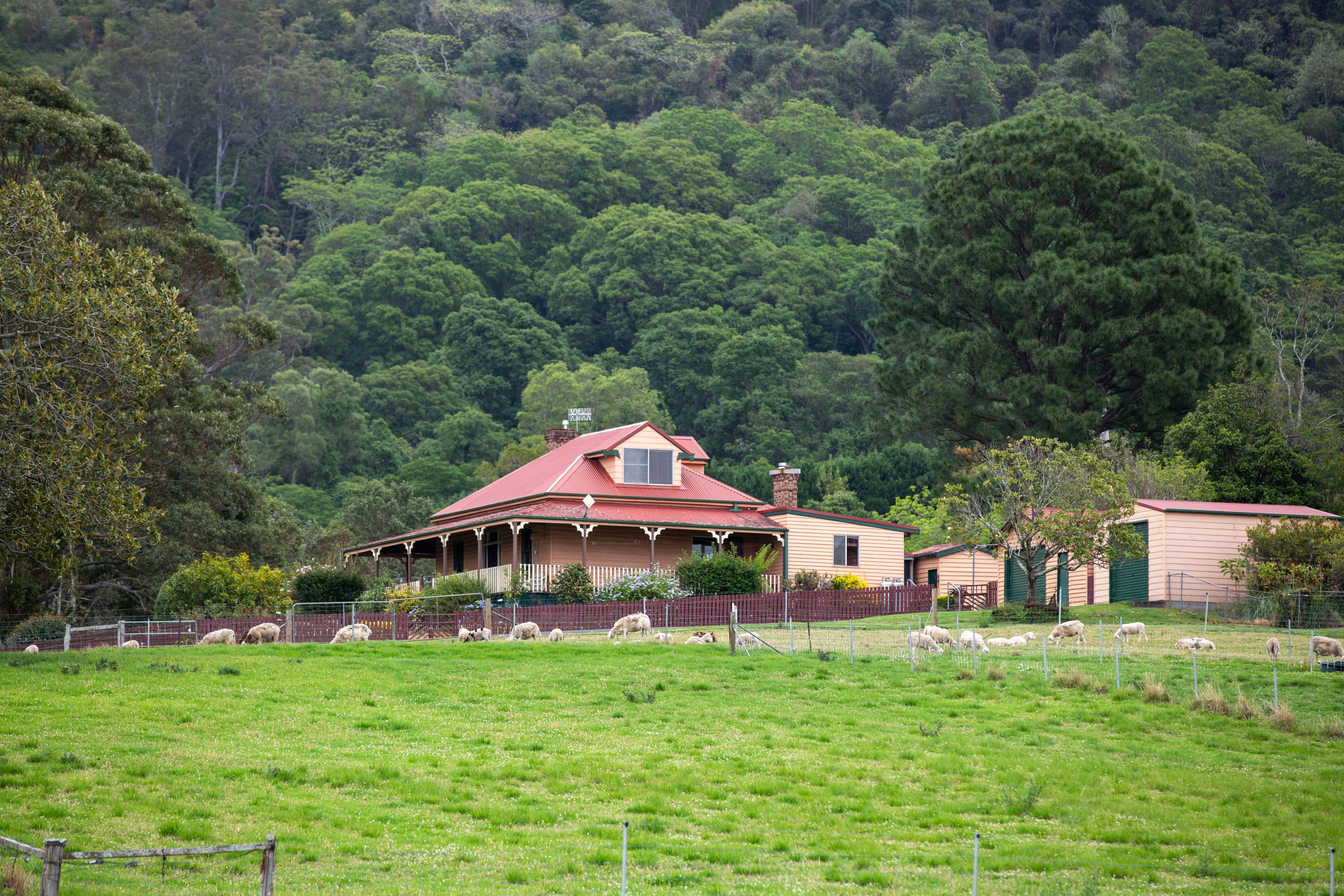 Ray White Rural Shoalhaven