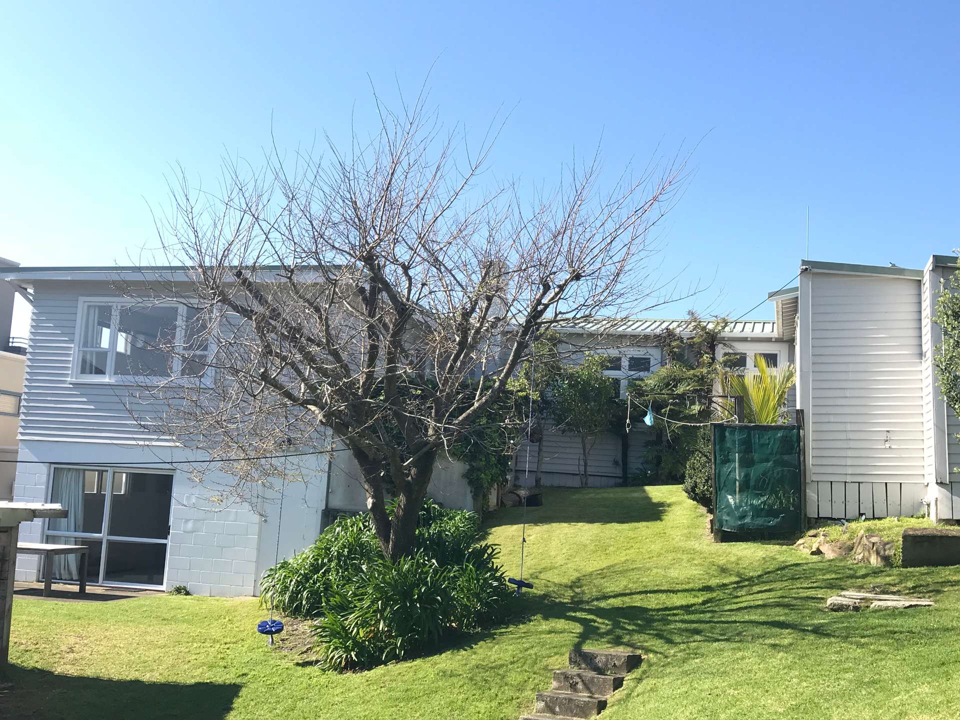 6 Rita Street - Includes Lawns and Gardens photo 3