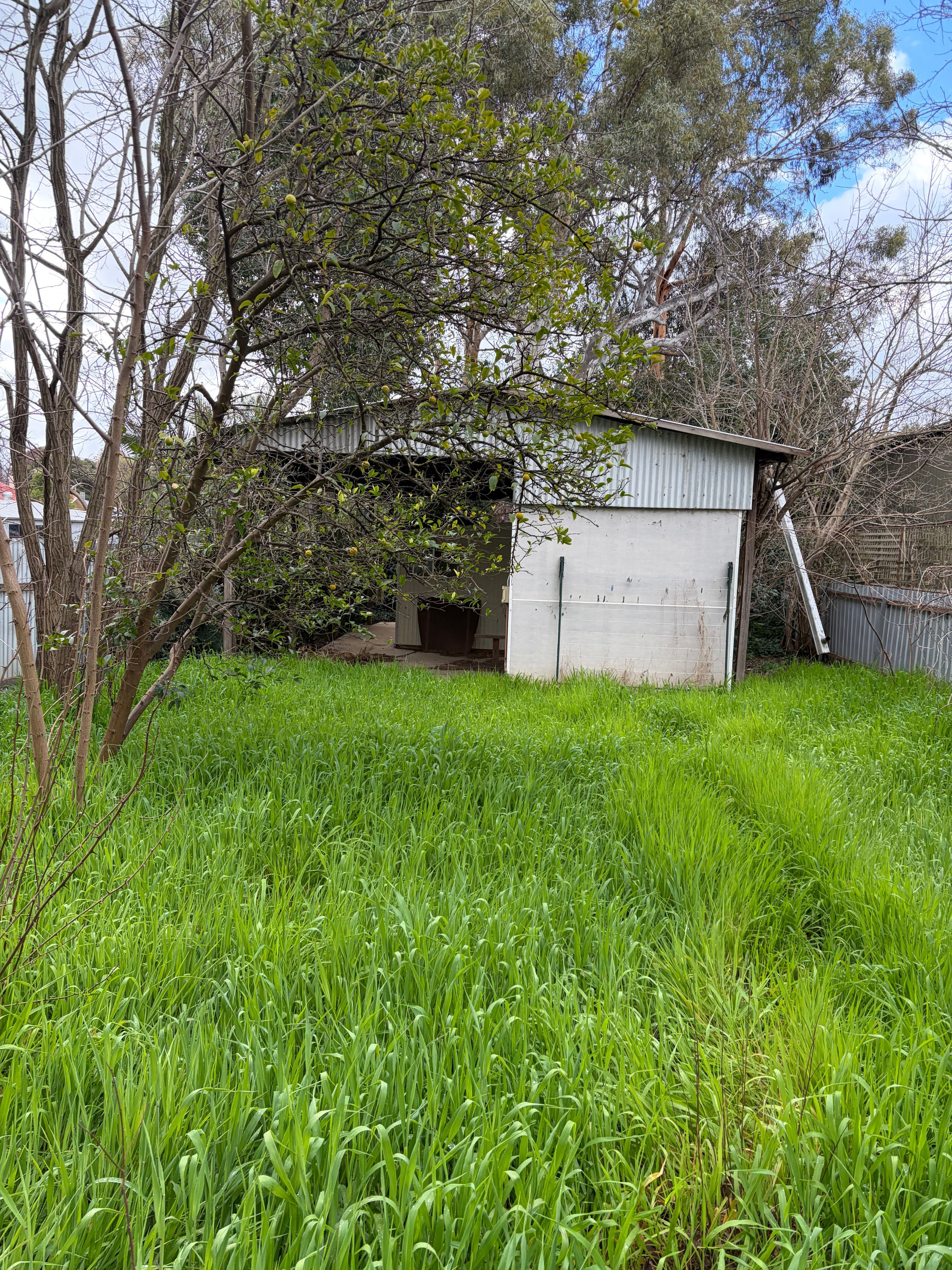 21 Cowslip Street — photo 4 of 11
