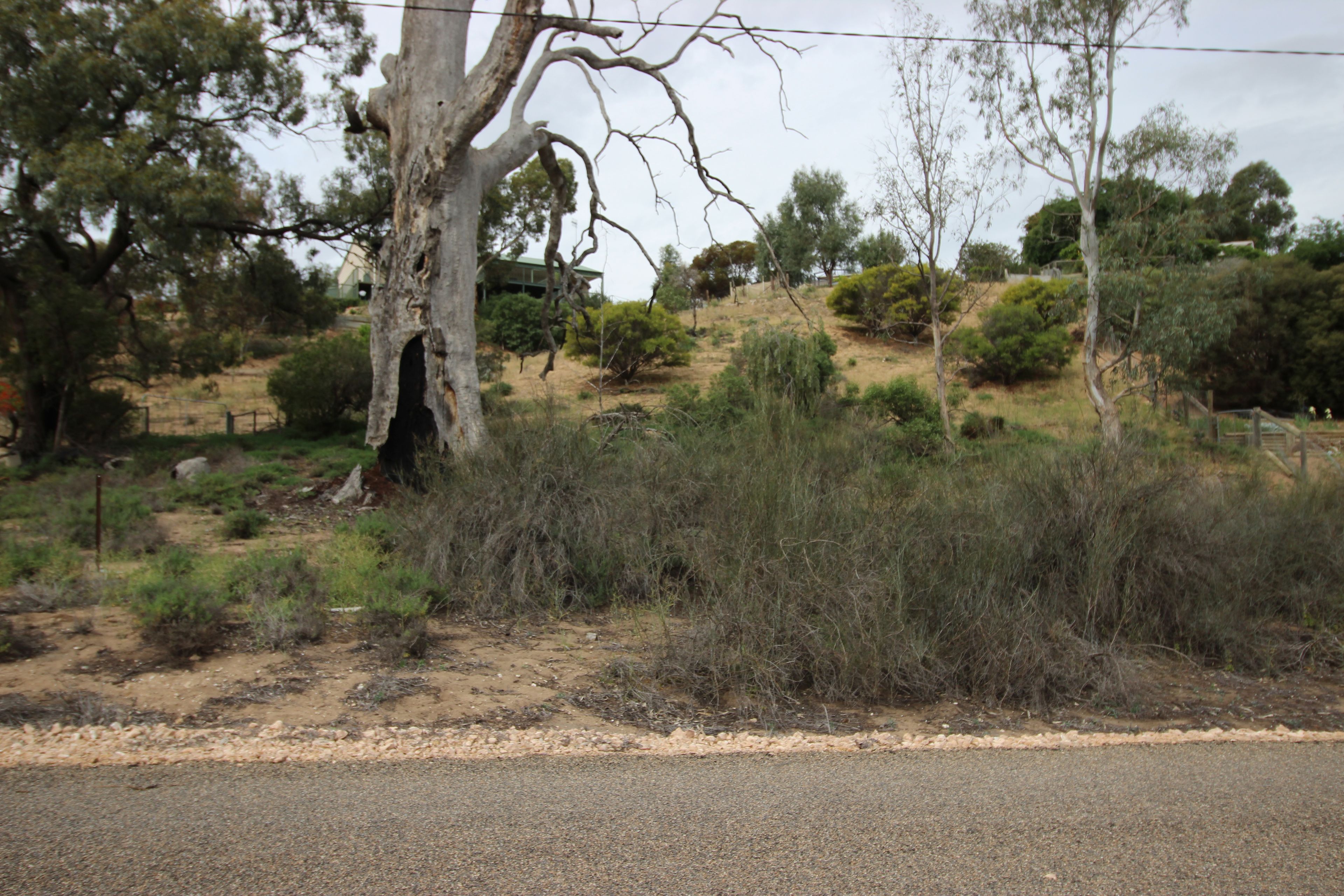 Lots 46&47 Kookaburra Lane, Murbko, SA 5320