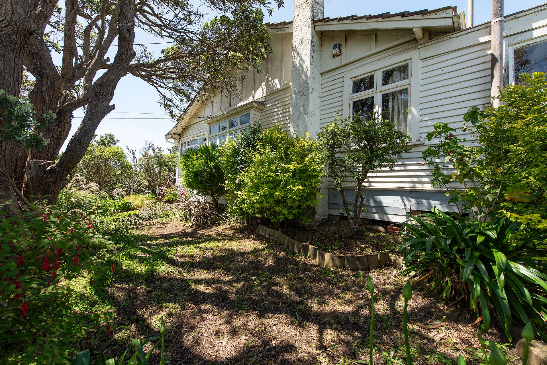 120 Seatoun Heights Road photo 8