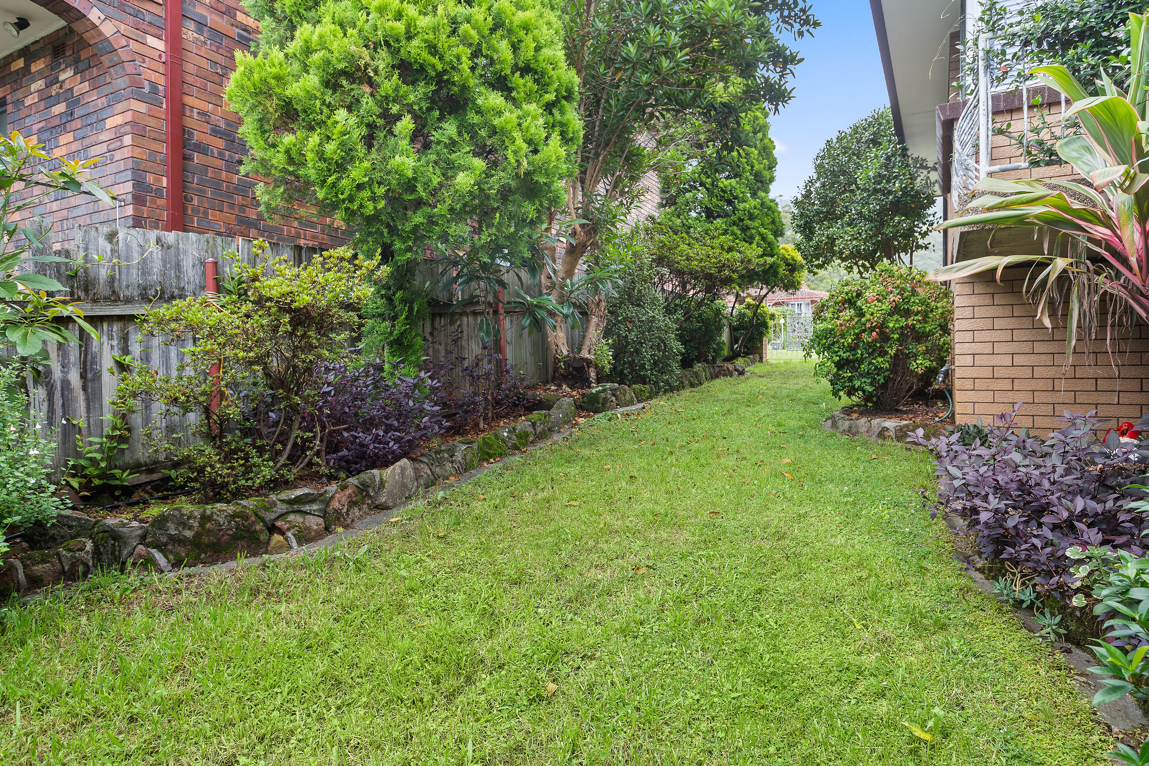 1 Rhodes Avenue, Balgownie, NSW 2519 House for Sale Ray White Wollongong