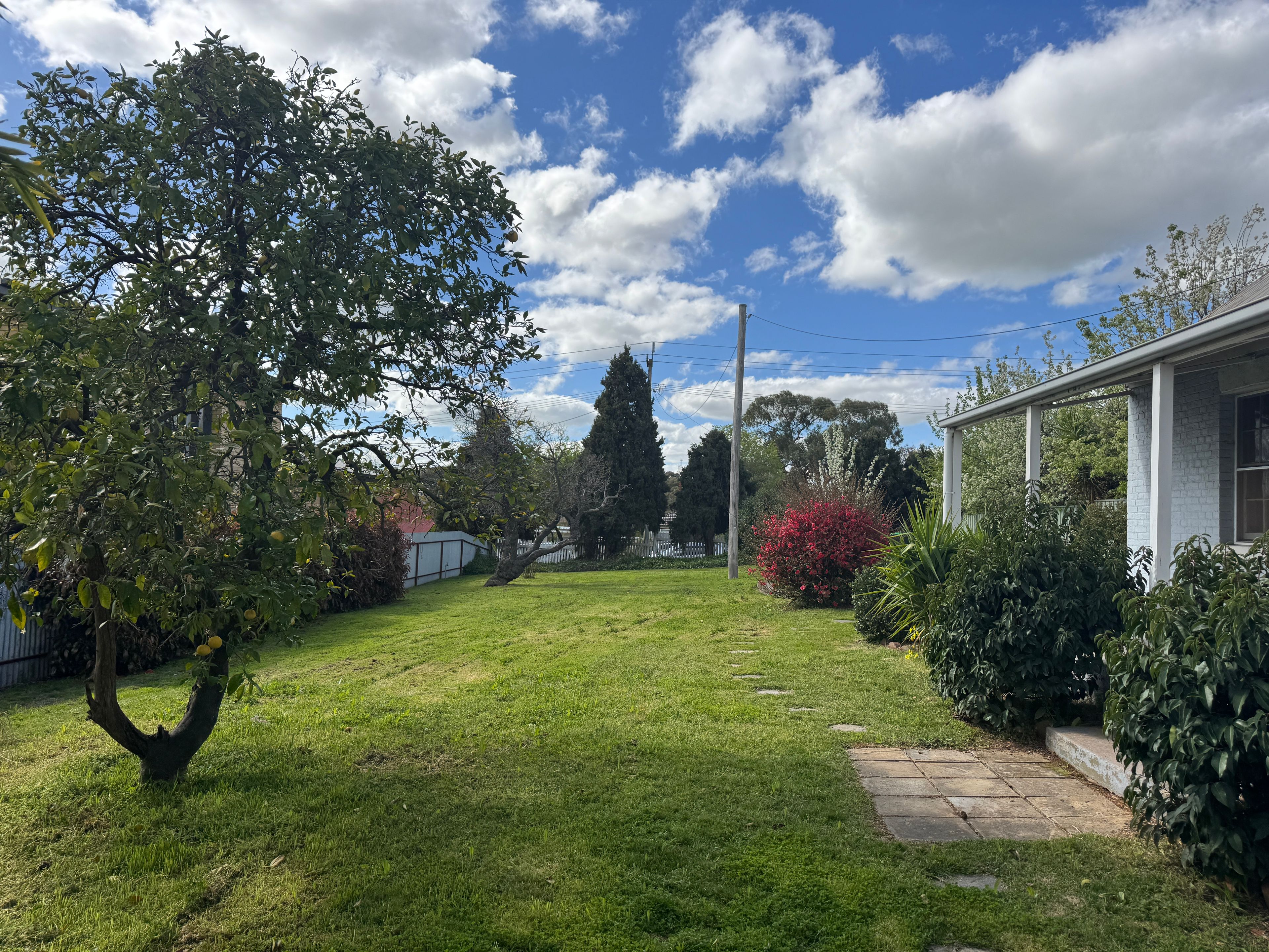 74 Nasmyth Street — photo 5 of 14