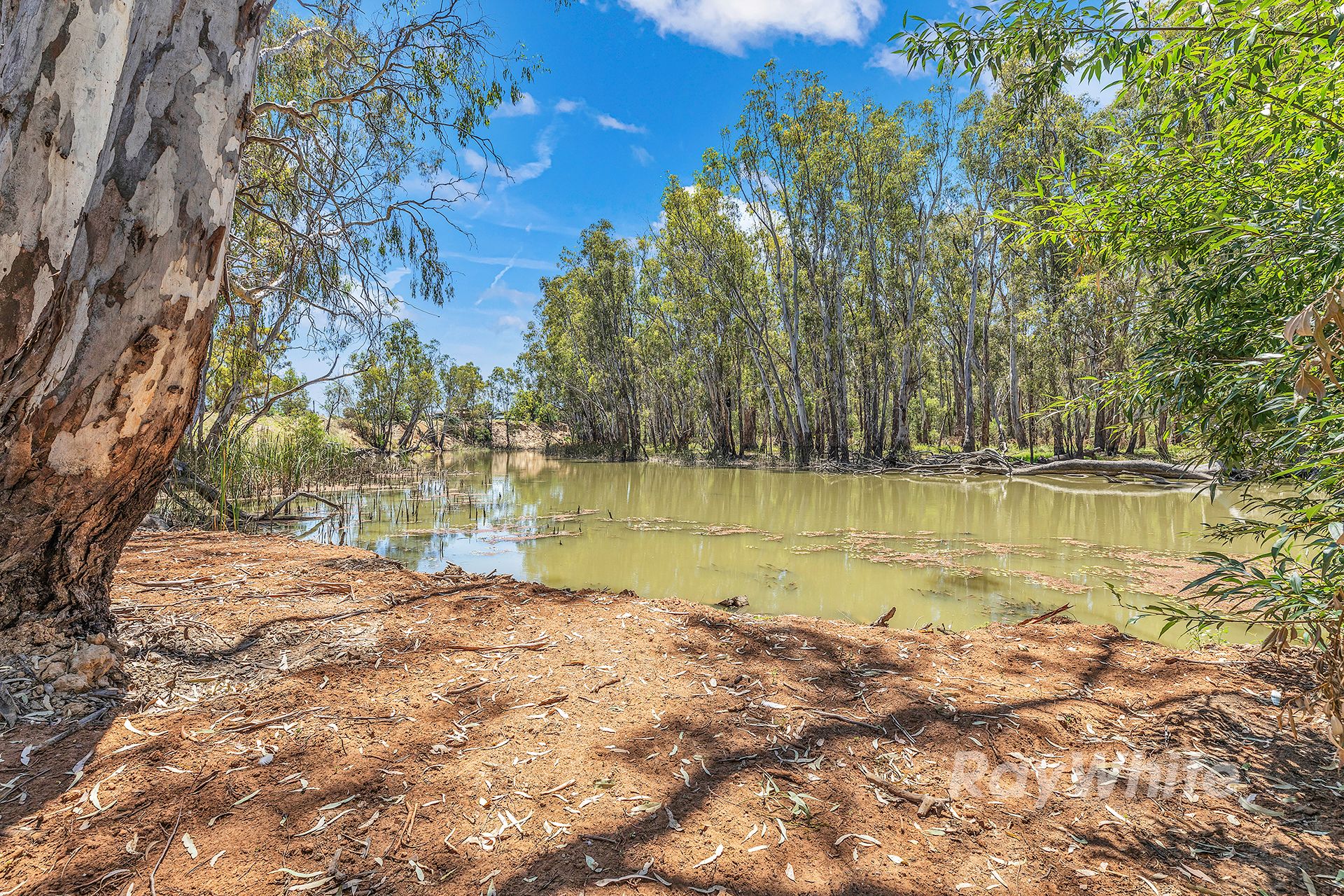 3932 Cobb Highway, Mathoura, NSW 2710 House for Sale Ray White Echuca