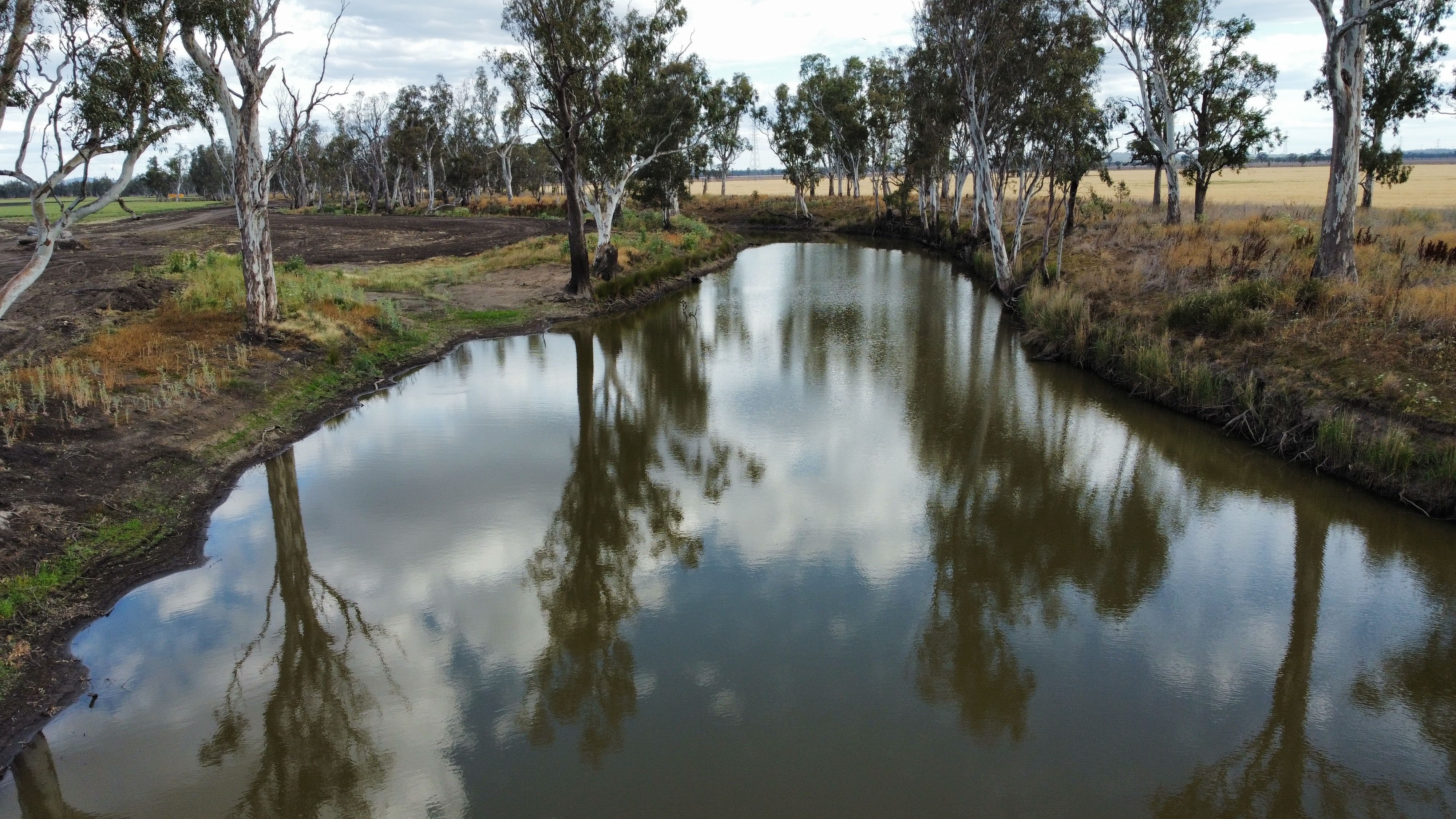 1663 Millmerran Leyburn Road, Tummaville, QLD 4352 Rural Cropping