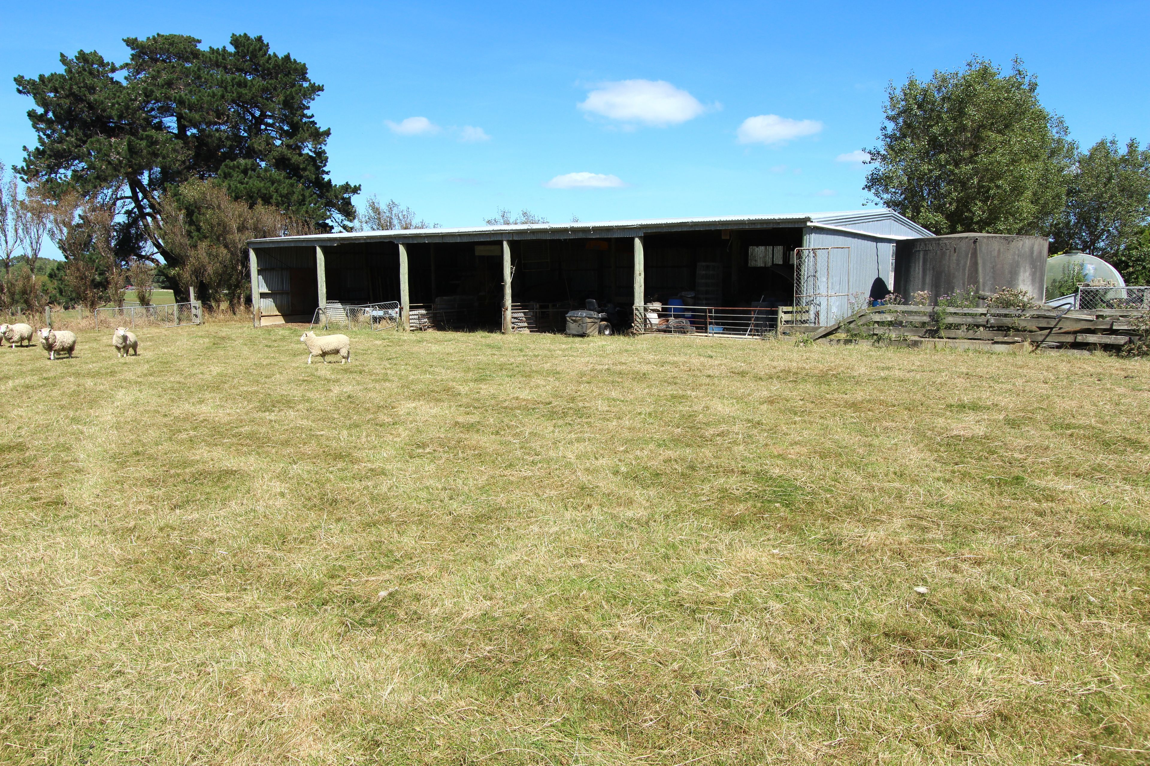 206 North Makarewa Grove Bush Road,, Makarewa, Invercargill
