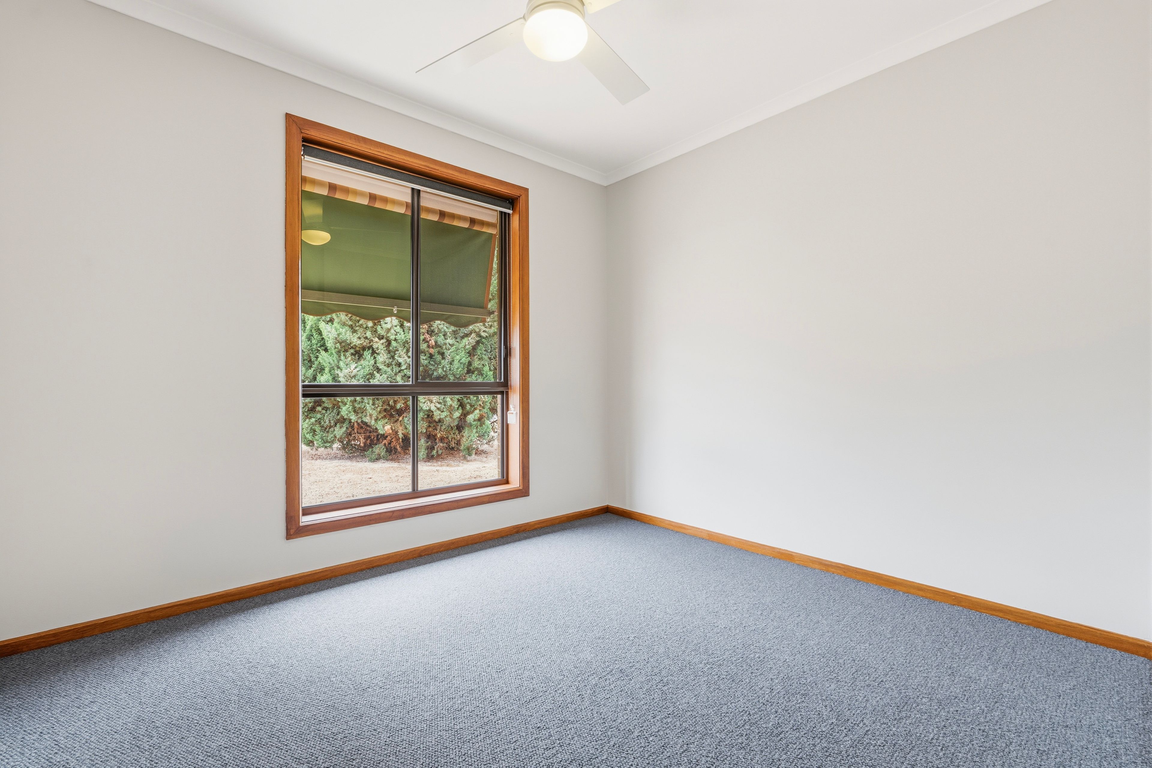 48 Olive Parade — photo 10 of 19