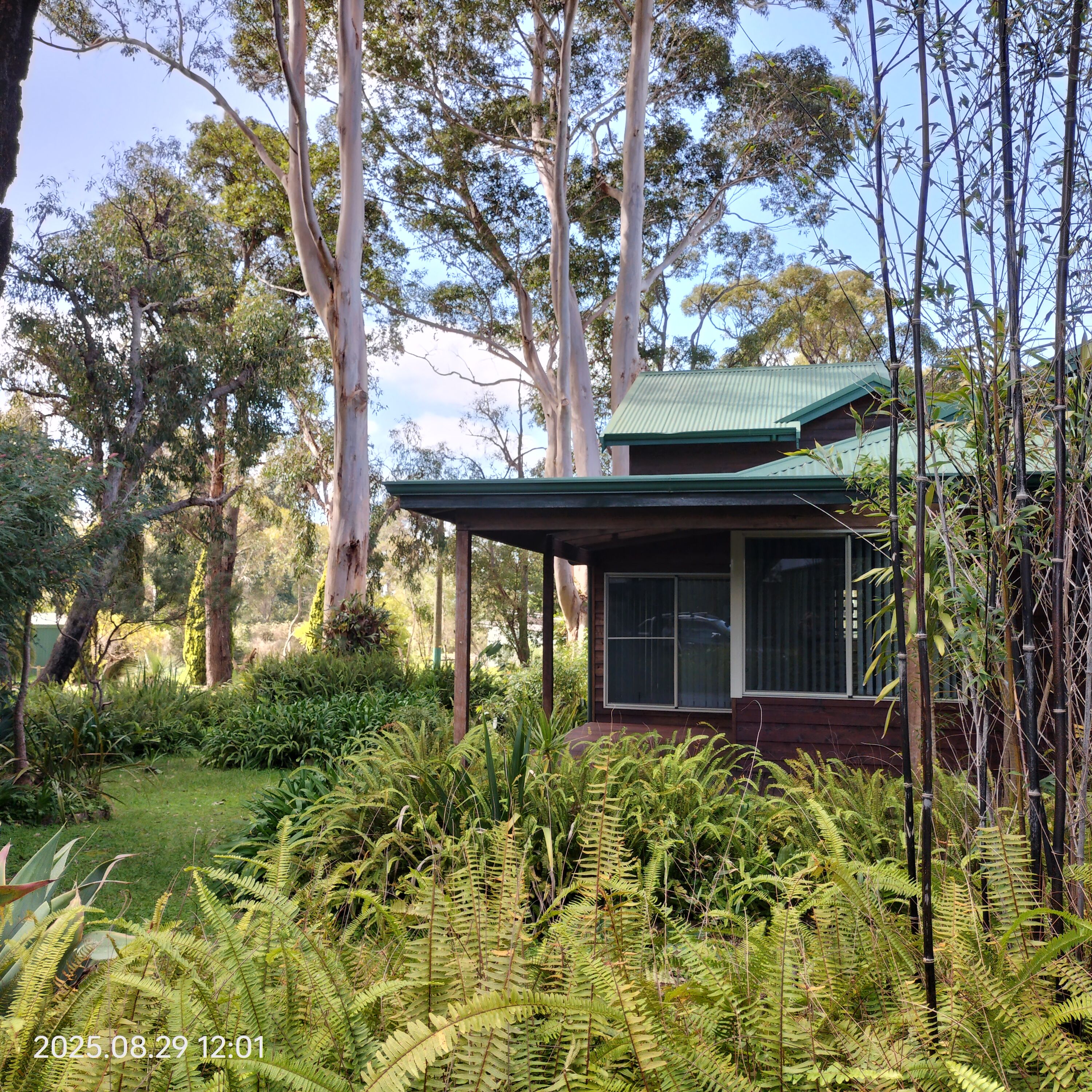 20 Harlequin Street, Denmark, WA 6333