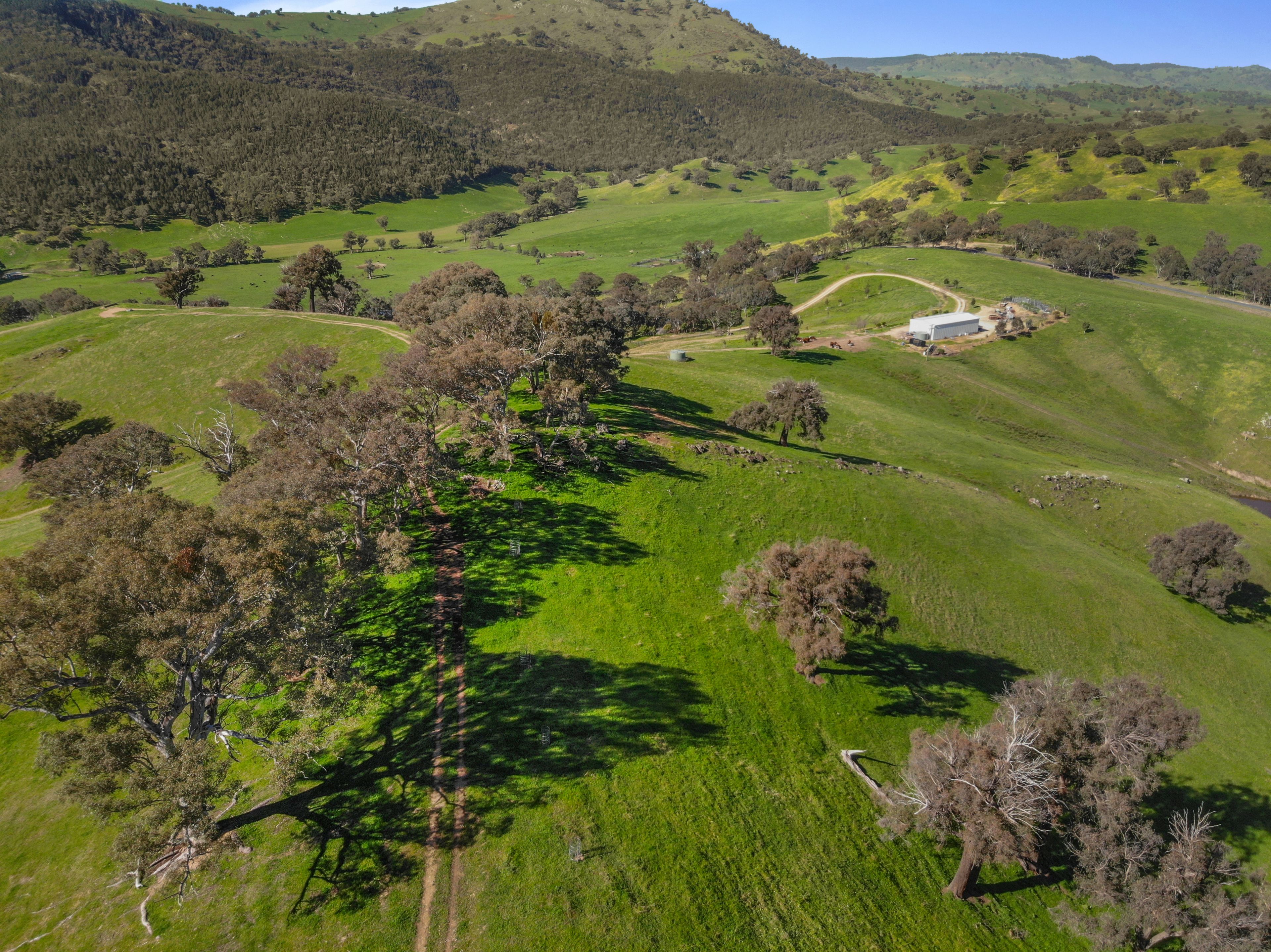 Lot 6 & 7 Brungle Road — photo 7 of 12