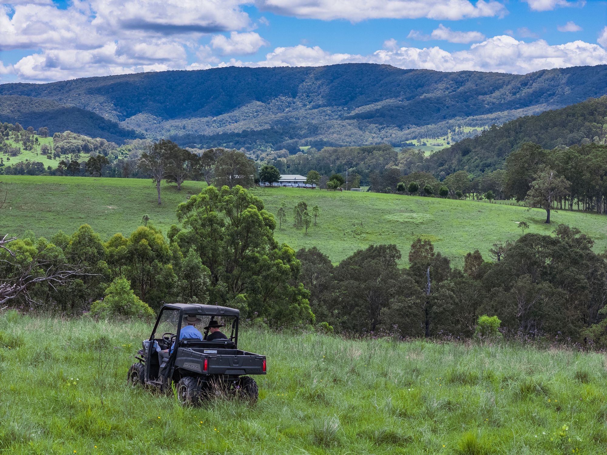 739 Chichester Dam Road, Dungog, NSW 2420