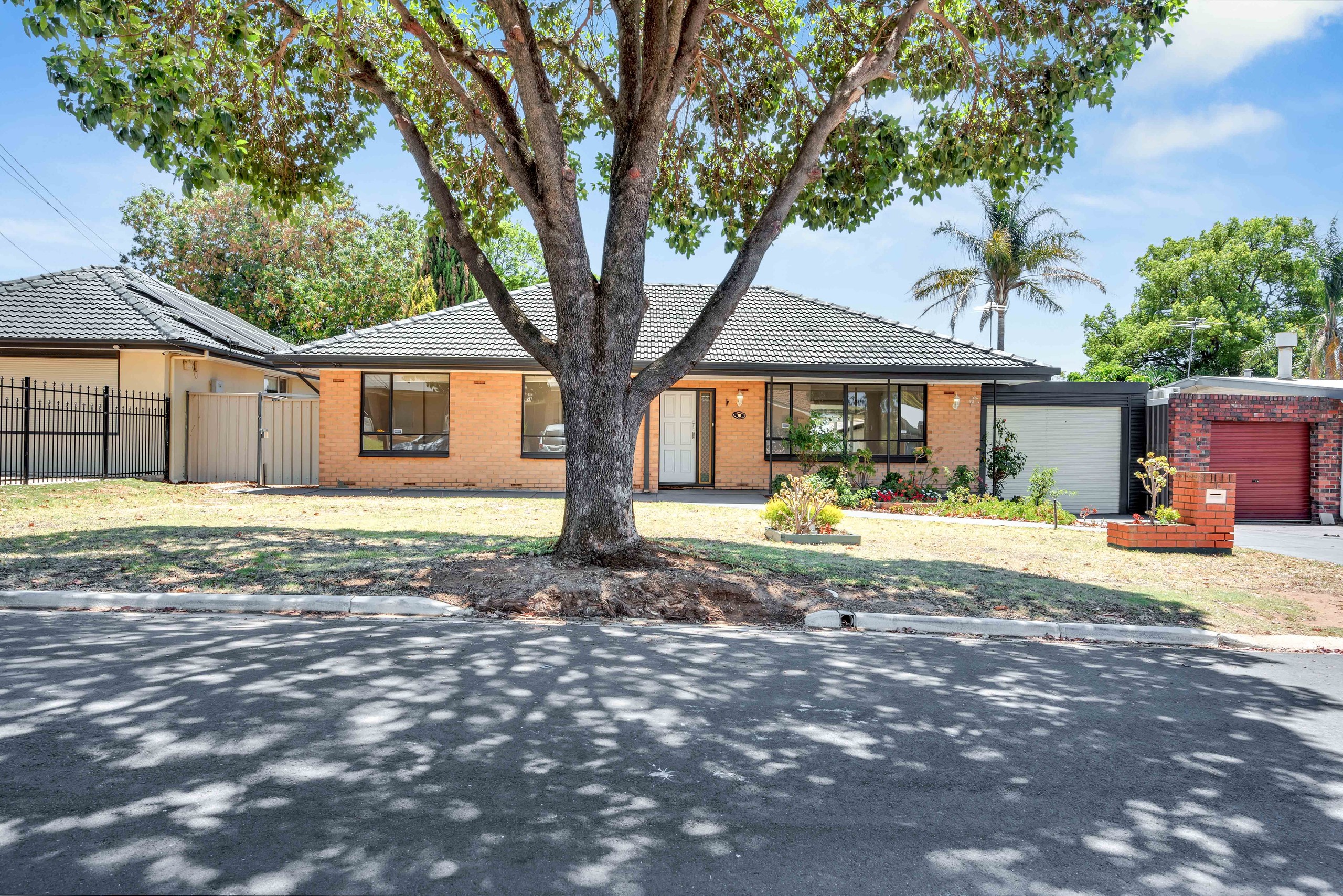 16 Rex Avenue, Gilles Plains, SA 5086
